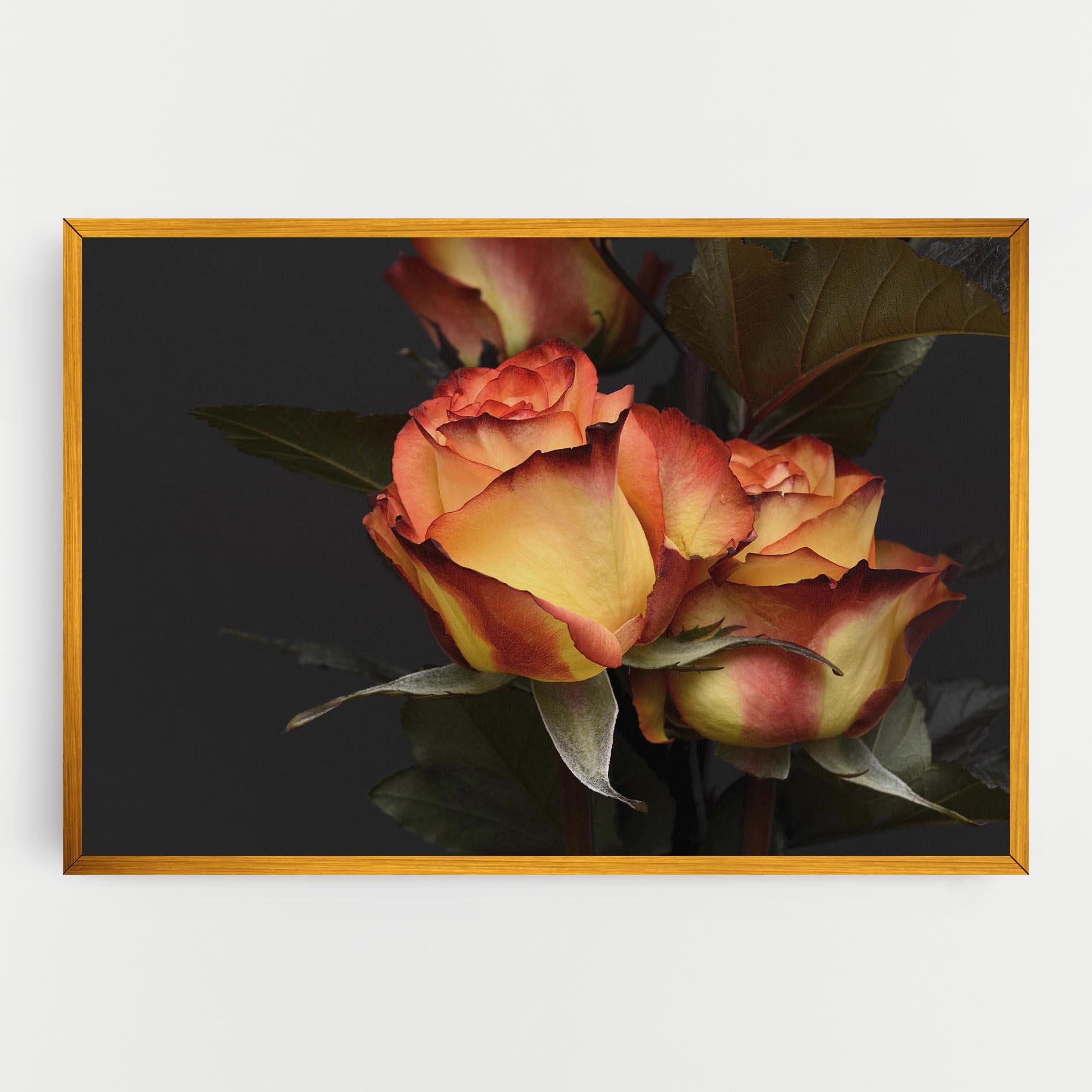 Leinwandbild Orange Rose mockup 0