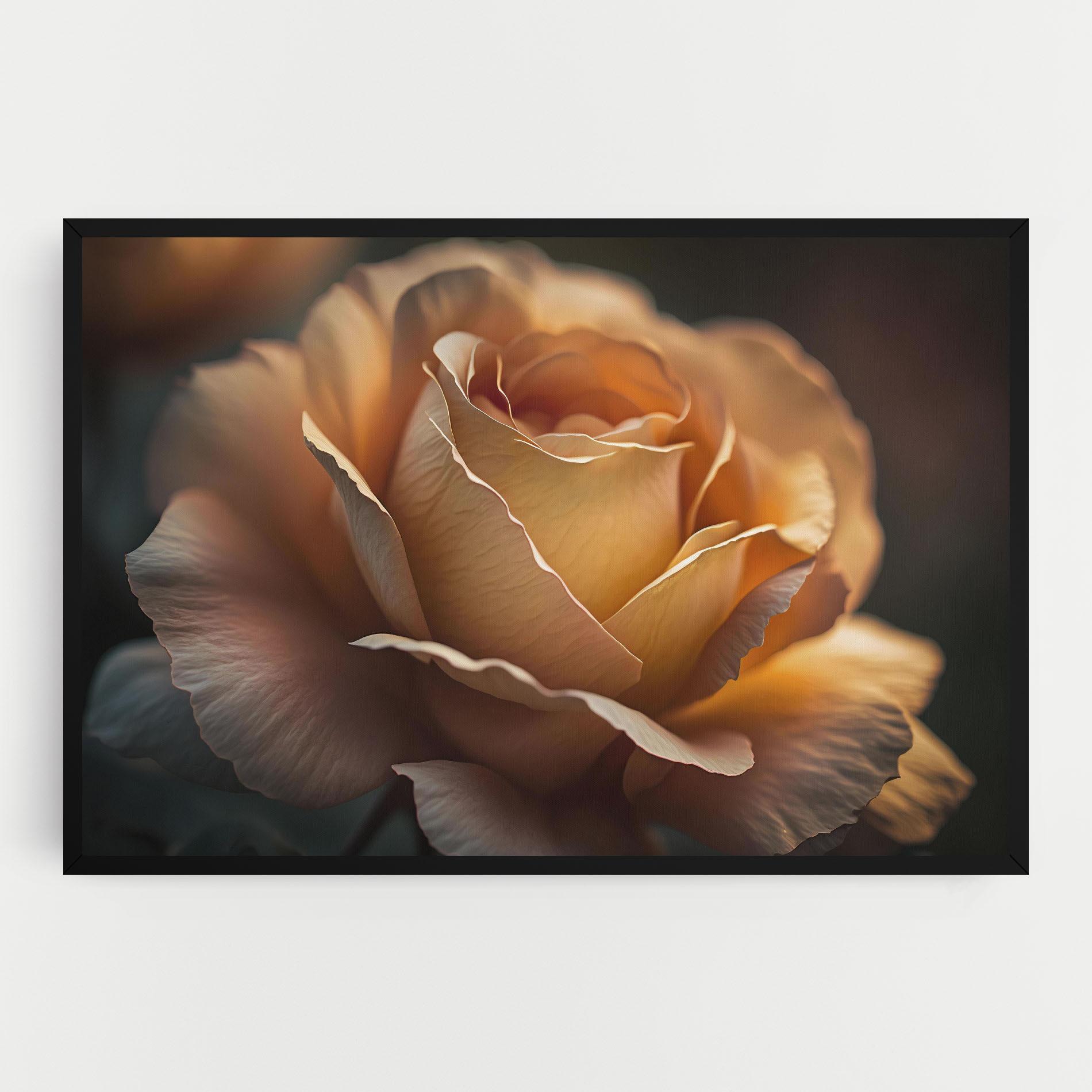 Leinwandbild Light Orange Rose Close Up mockup 0