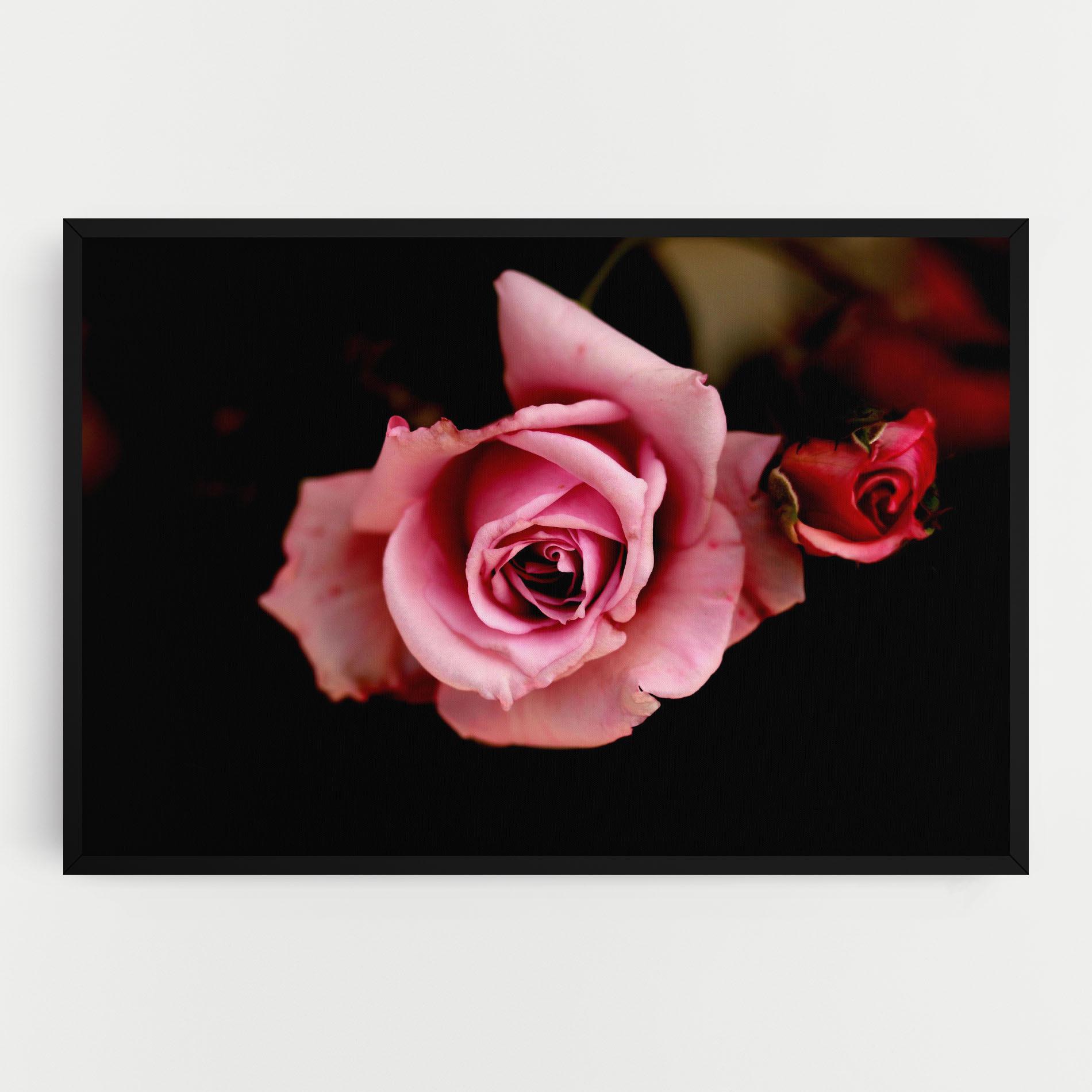 Leinwandbild Opened Pink Rose mockup 0