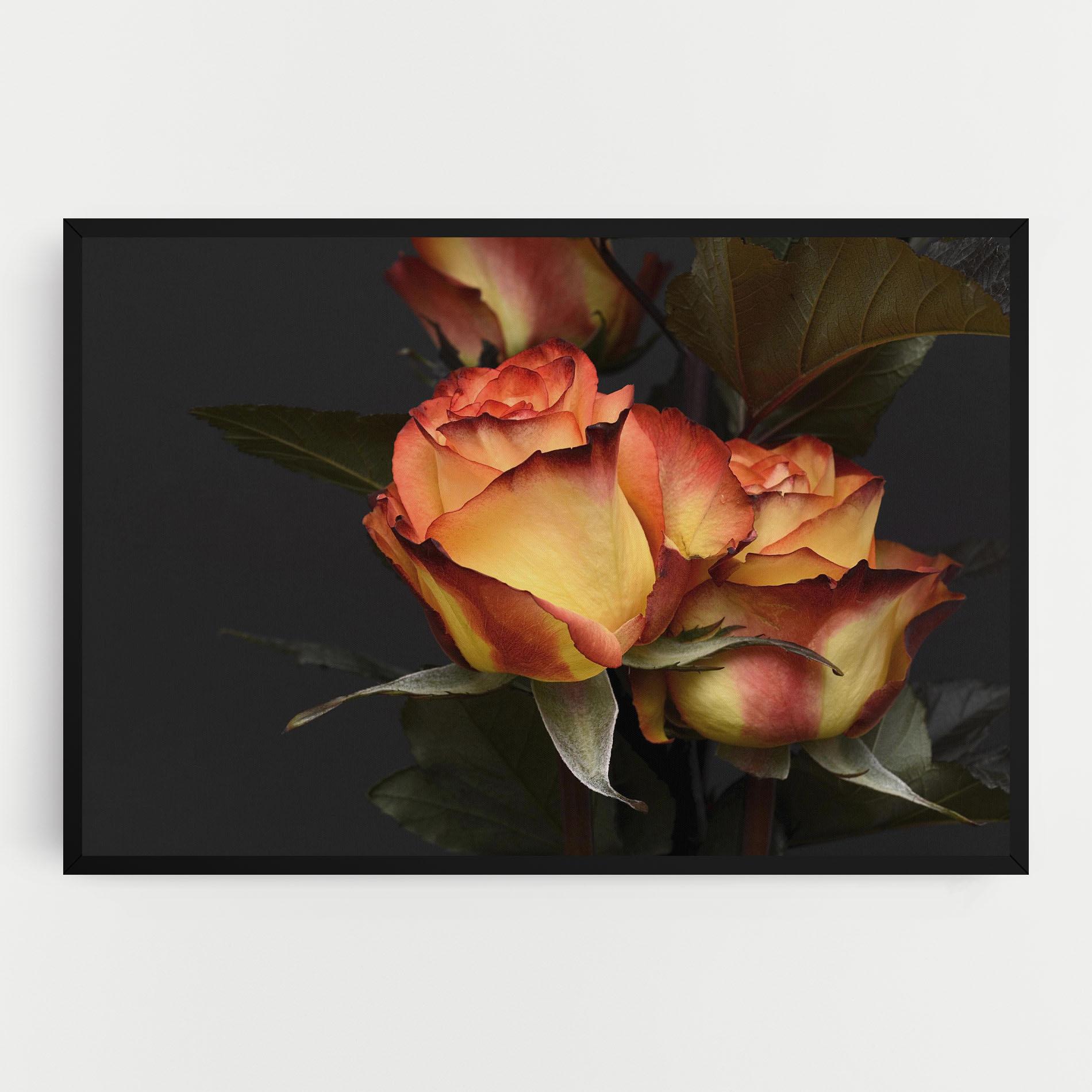 Leinwandbild Orange Rose mockup 0