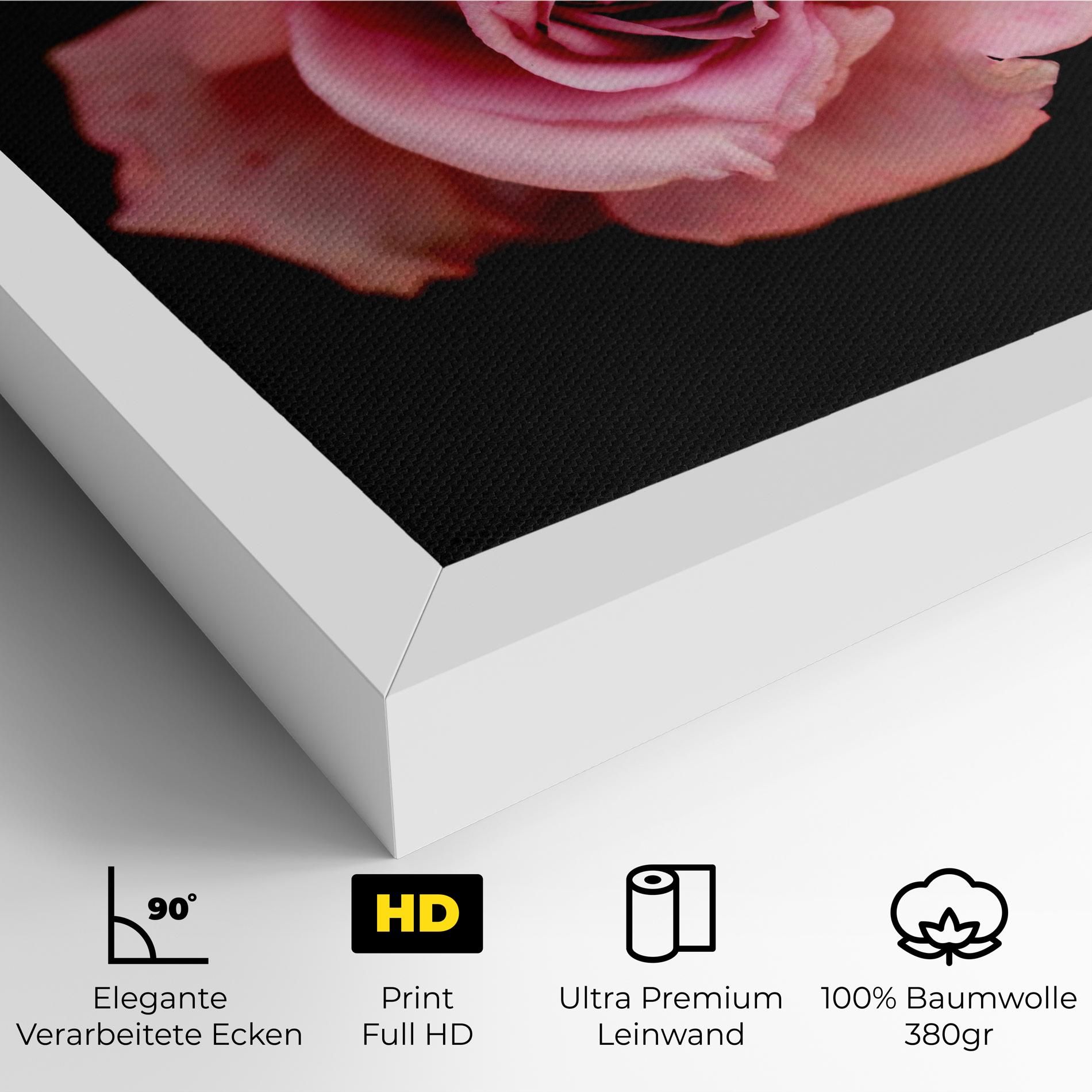 Opened Pink Rose mockup 4