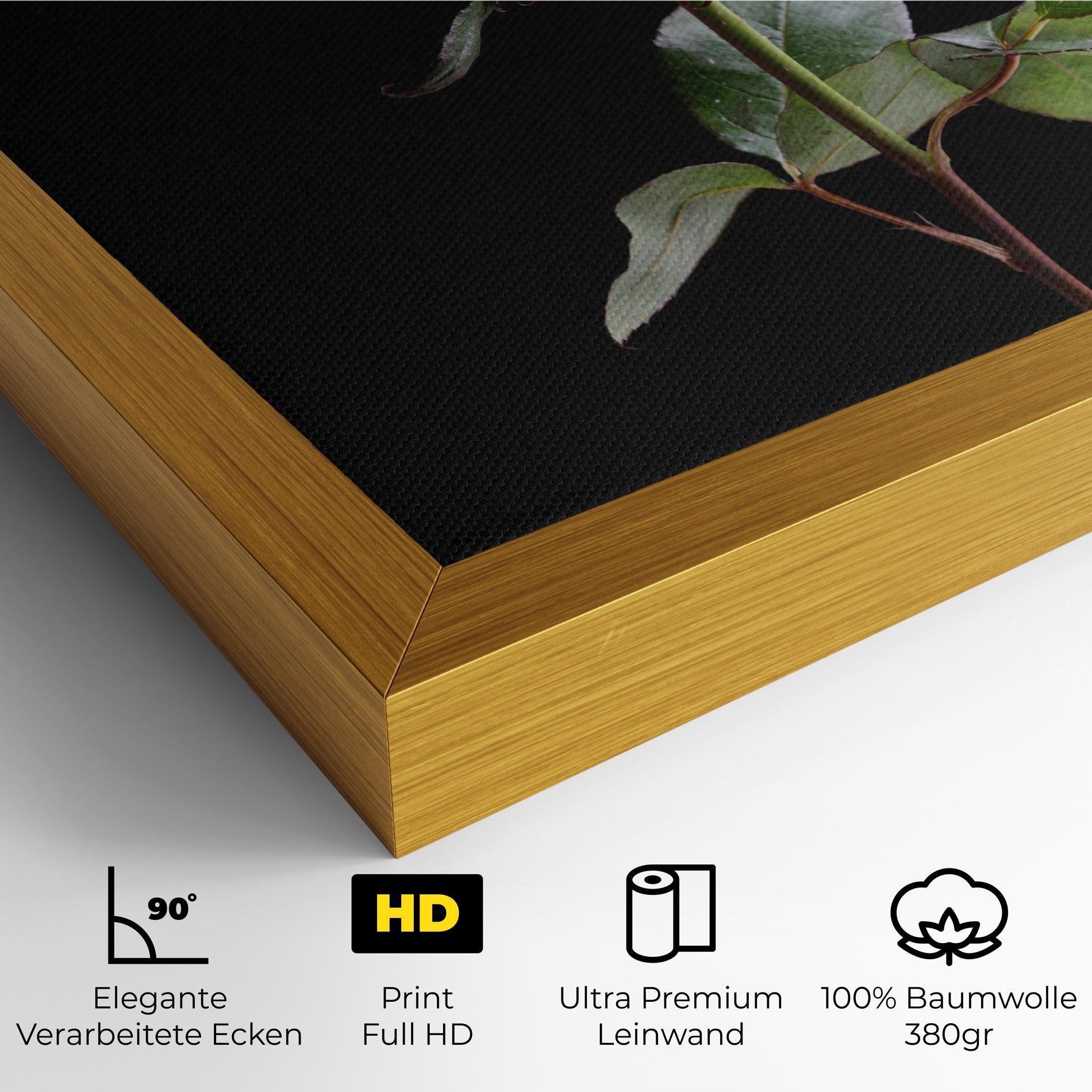 Leinwandbild Beautiful Red Rose mockup 4