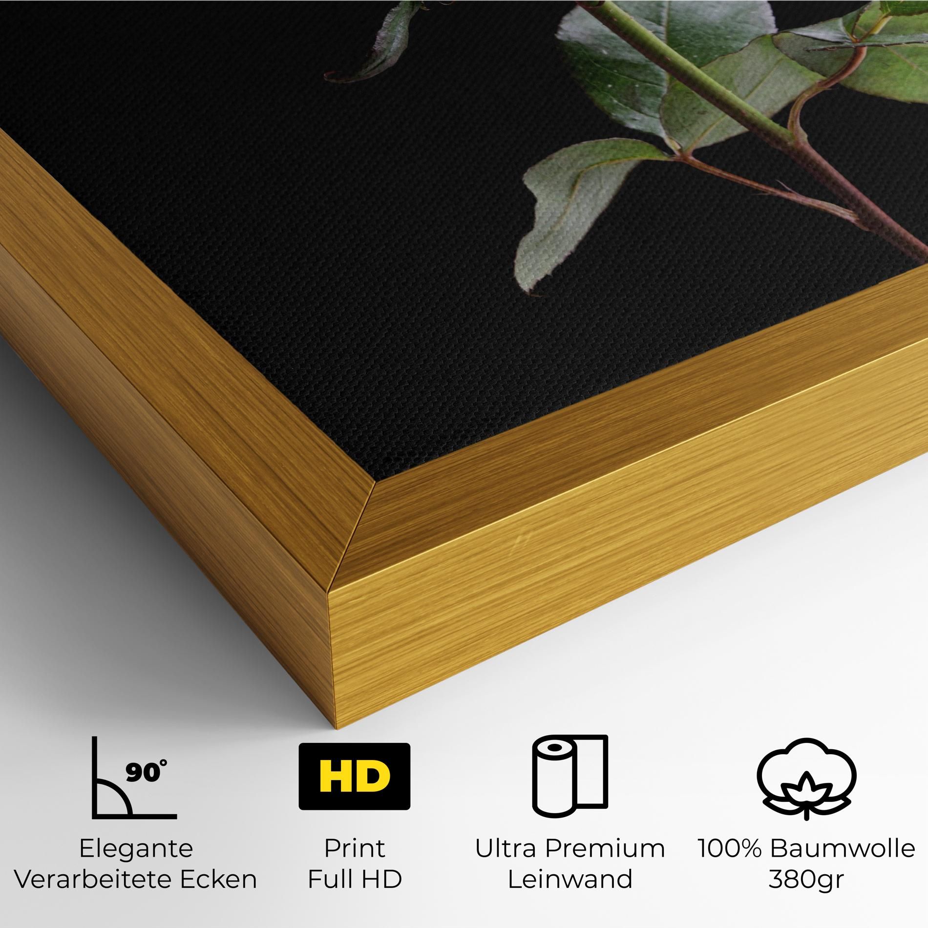 Beautiful Red Rose mockup 4