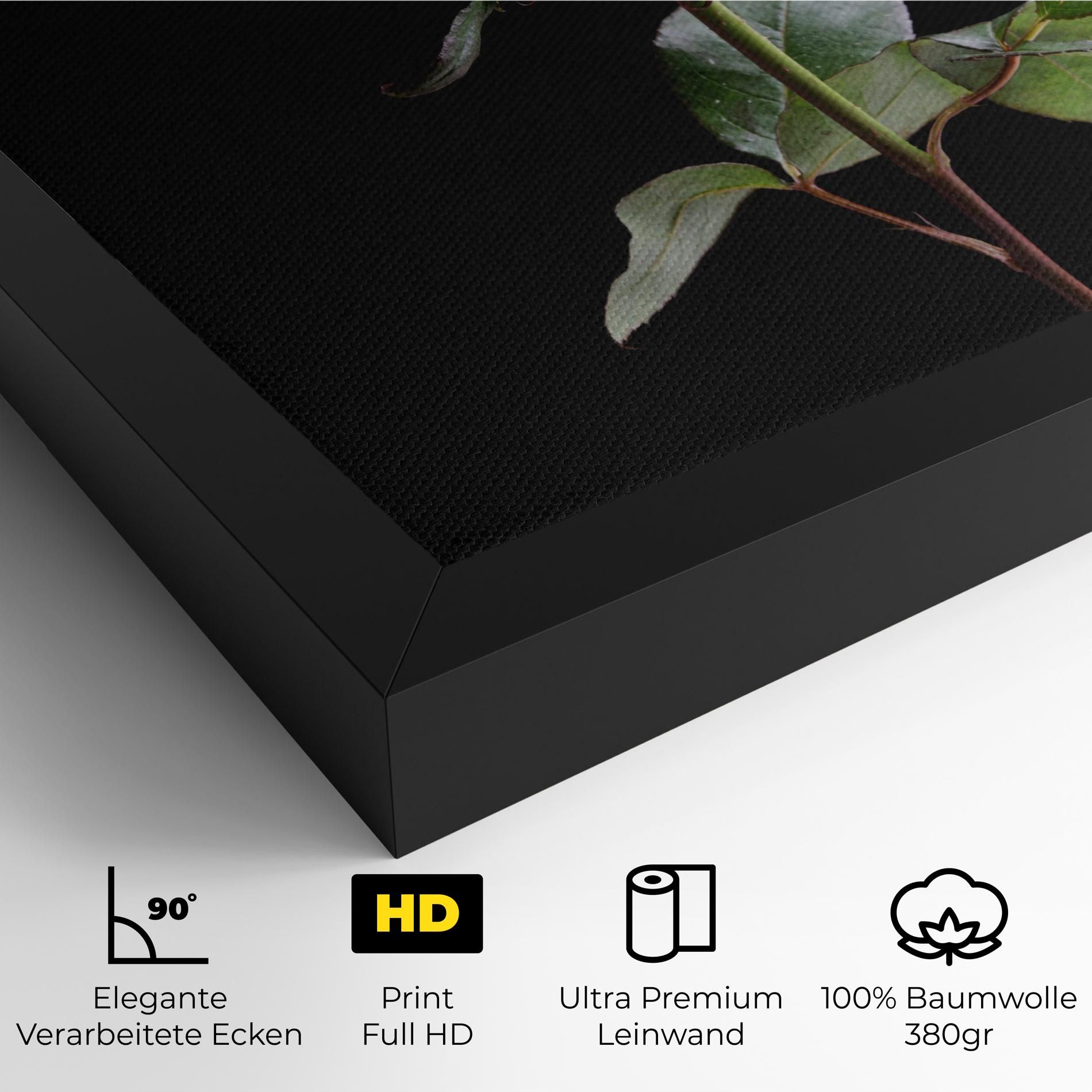 Beautiful Red Rose mockup 4