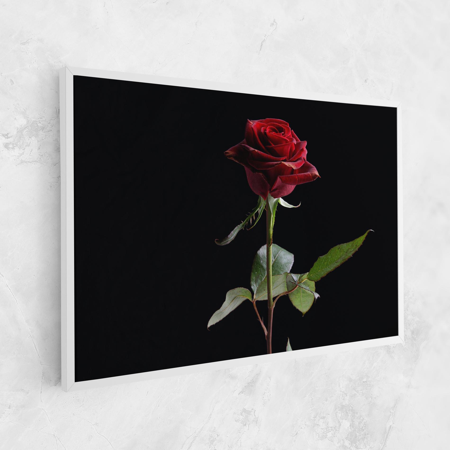 Leinwandbild Beautiful Red Rose mockup 1