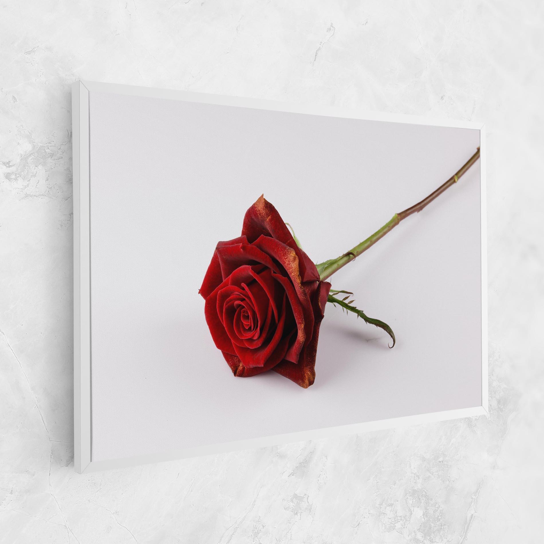 Leinwandbild Lonely Rose mockup 1