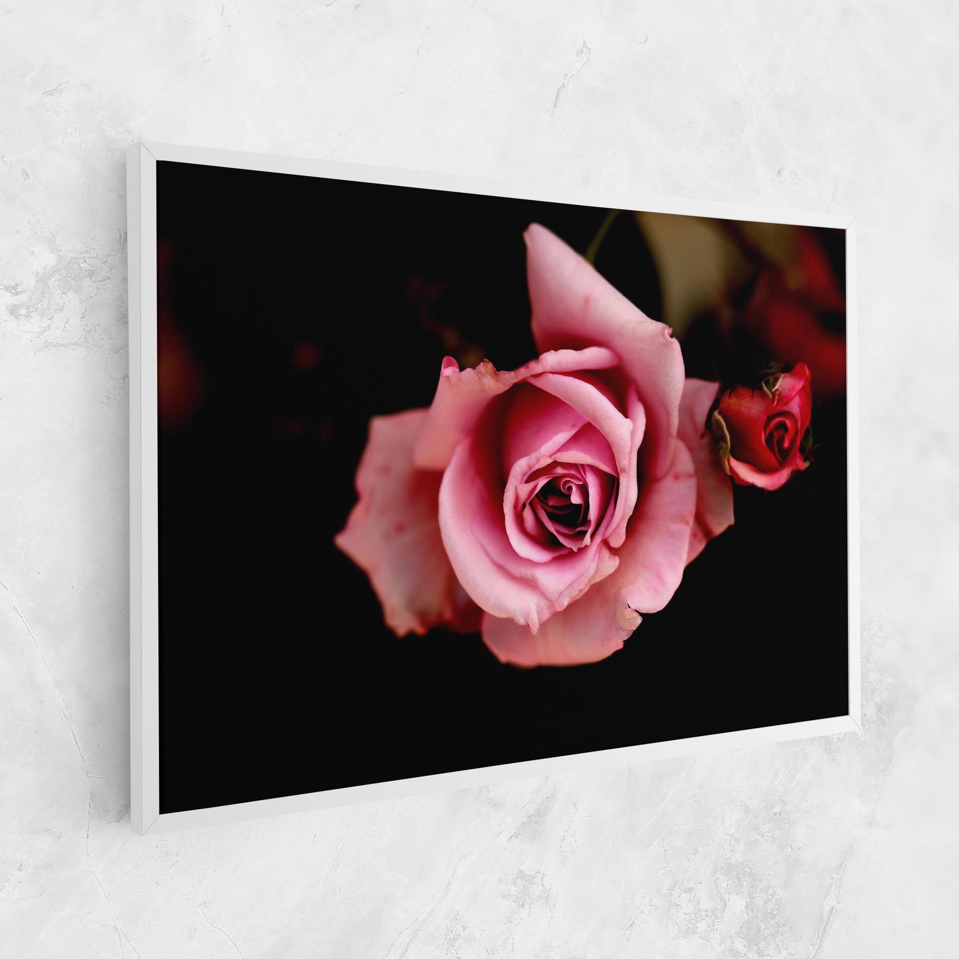 Opened Pink Rose mockup 1