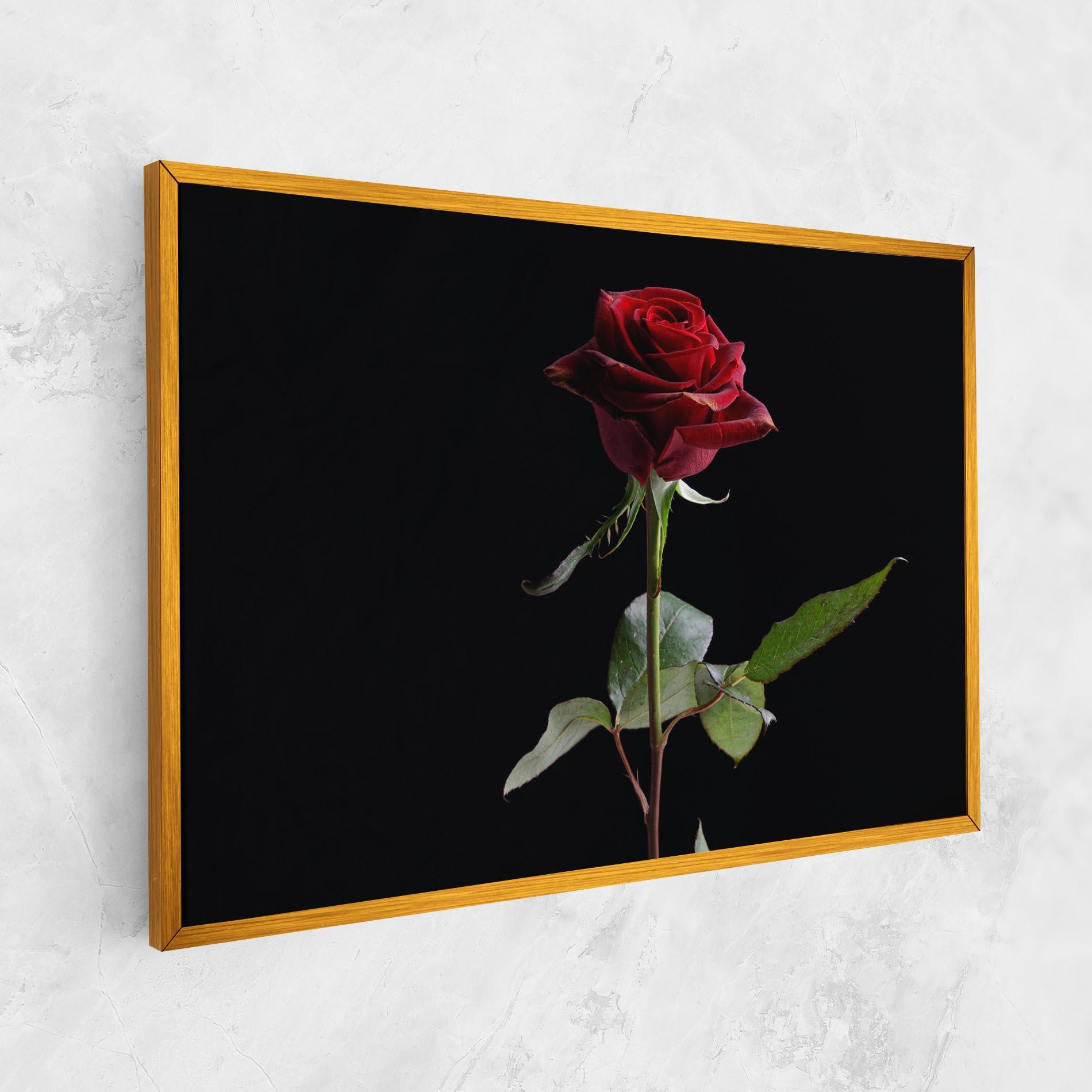 Leinwandbild Beautiful Red Rose mockup 1