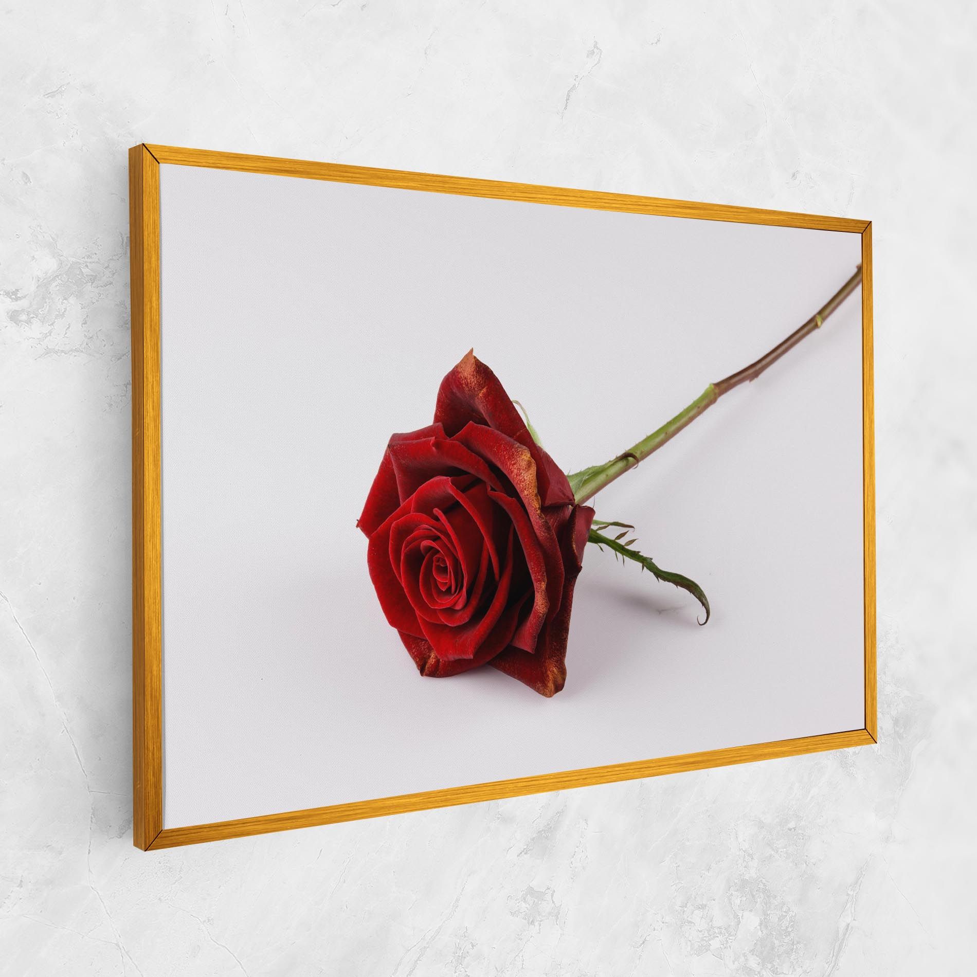 Lonely Rose mockup 1