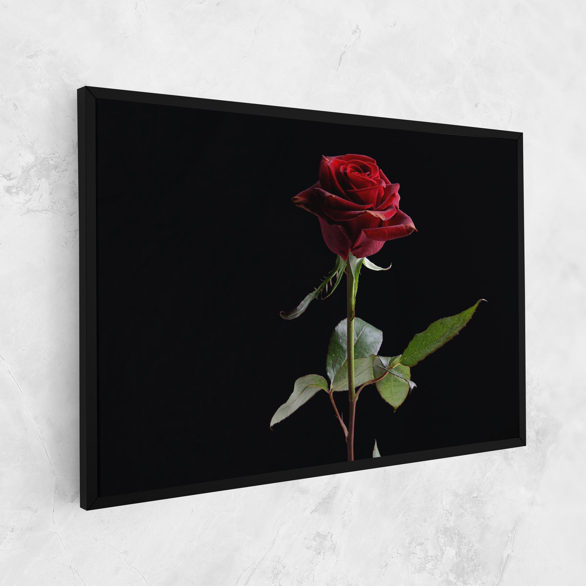 Leinwandbild Beautiful Red Rose mockup 1