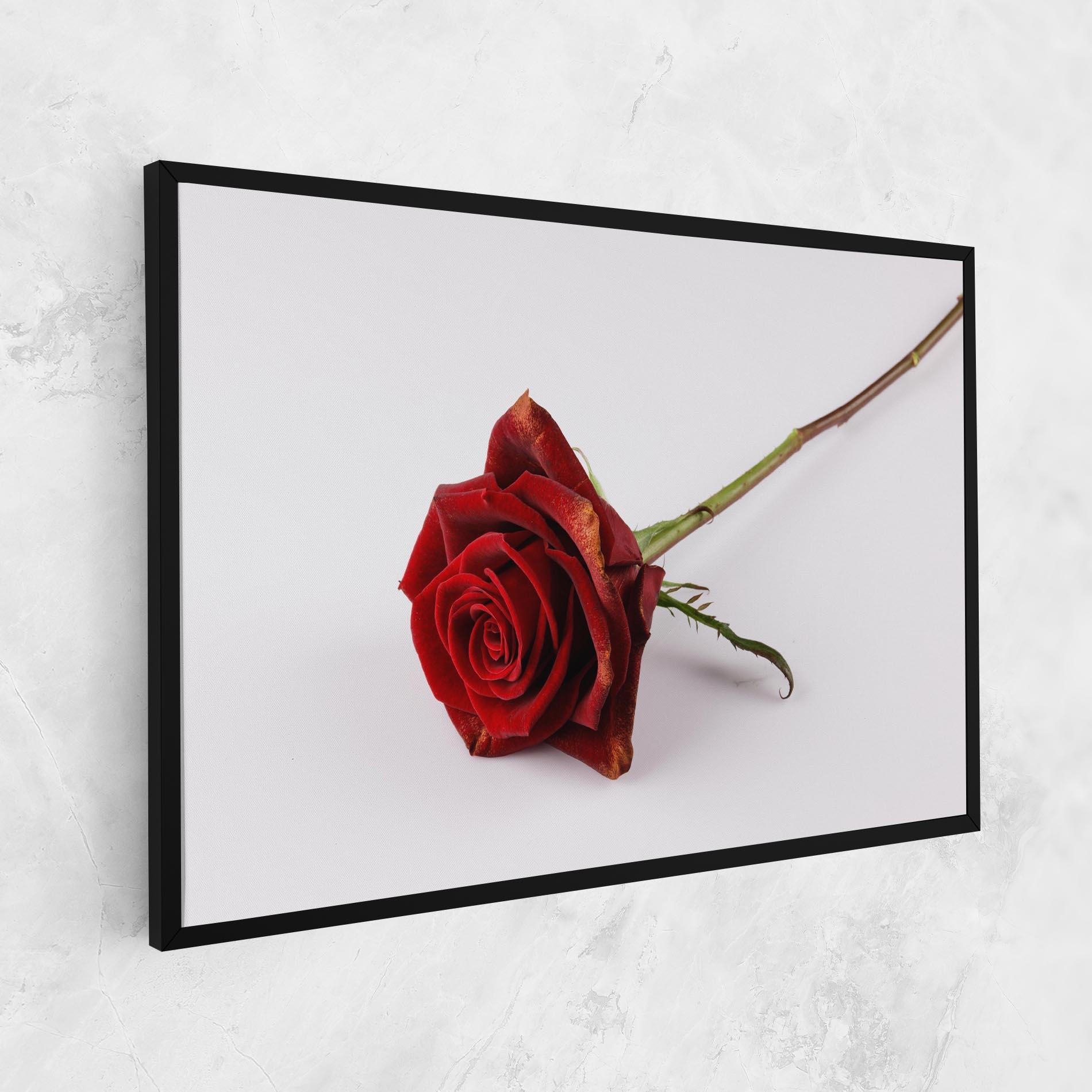 Leinwandbild Lonely Rose mockup 1
