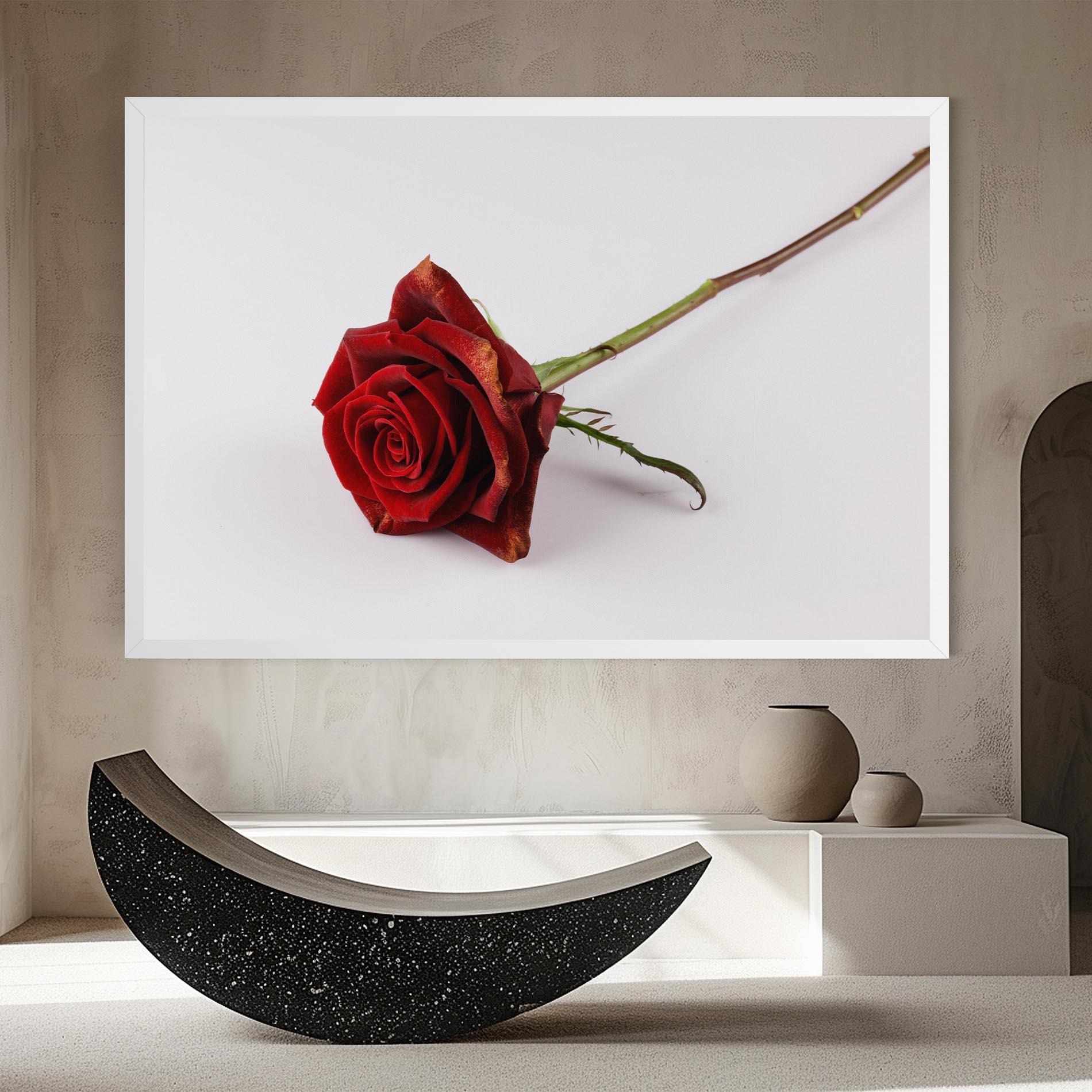 Leinwandbild Lonely Rose mockup 8