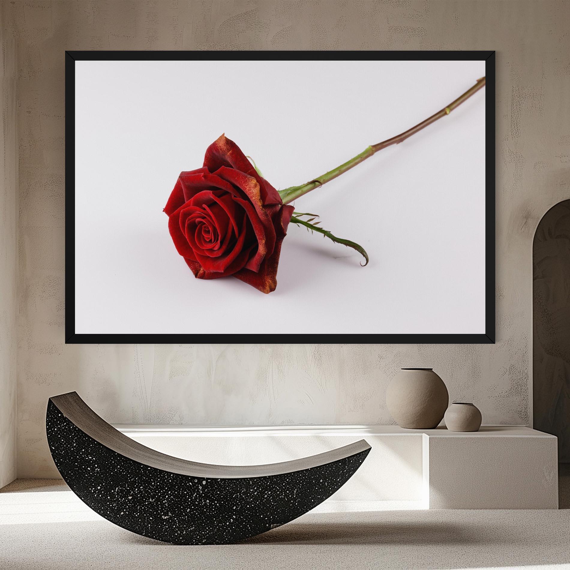 Leinwandbild Lonely Rose mockup 8