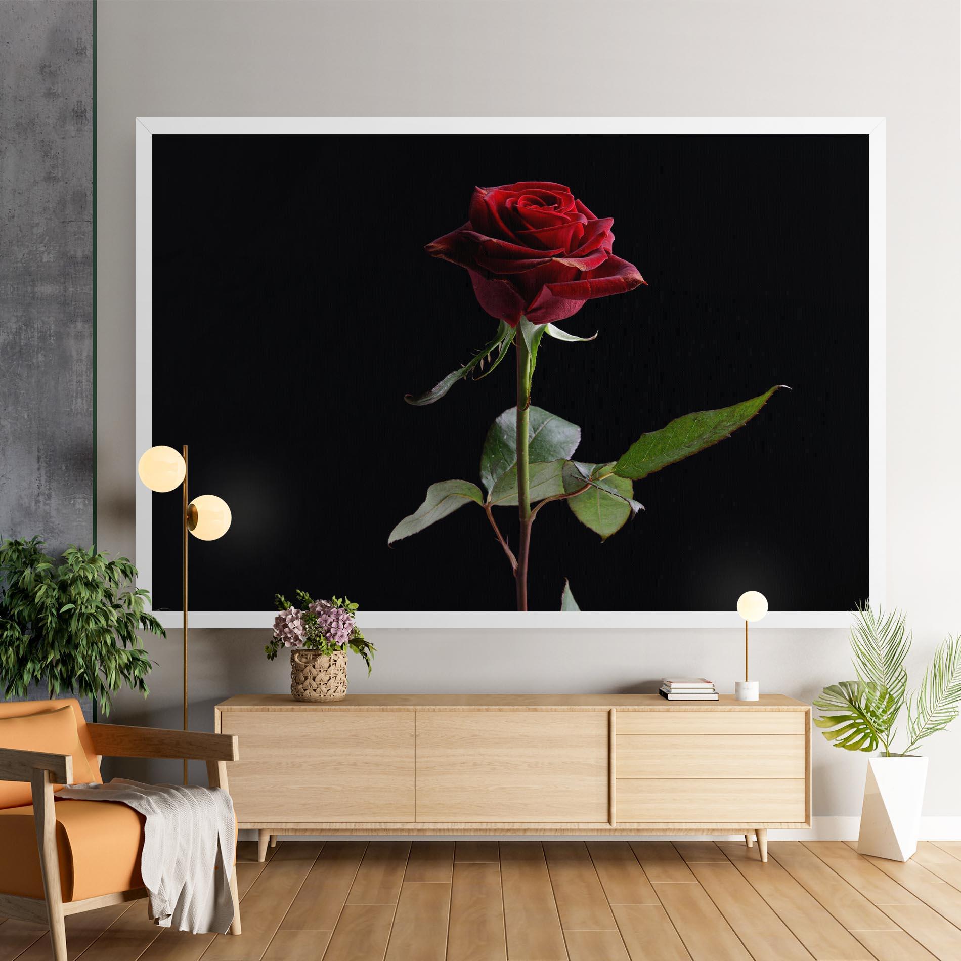 Leinwandbild Beautiful Red Rose mockup 9