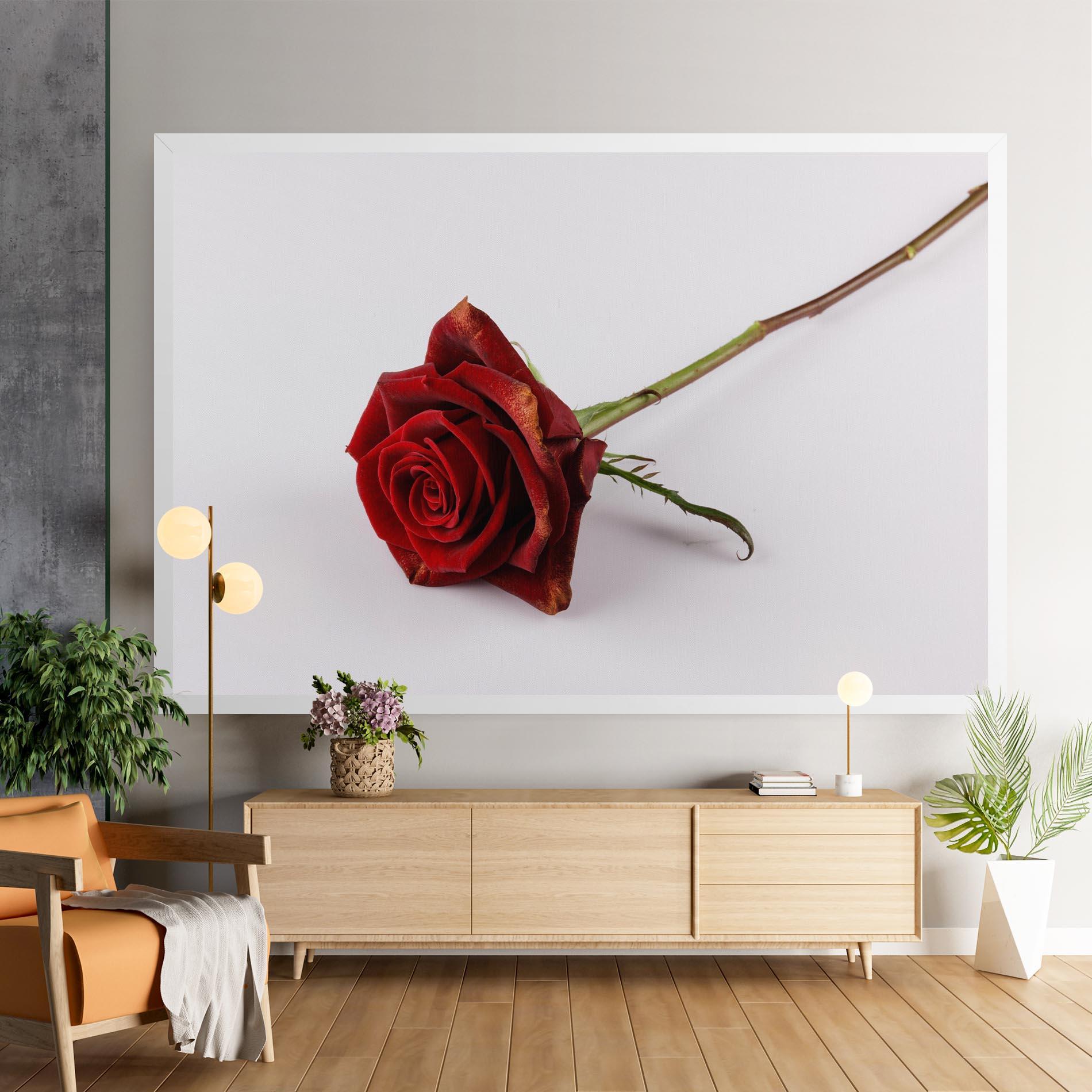 Leinwandbild Lonely Rose mockup 9
