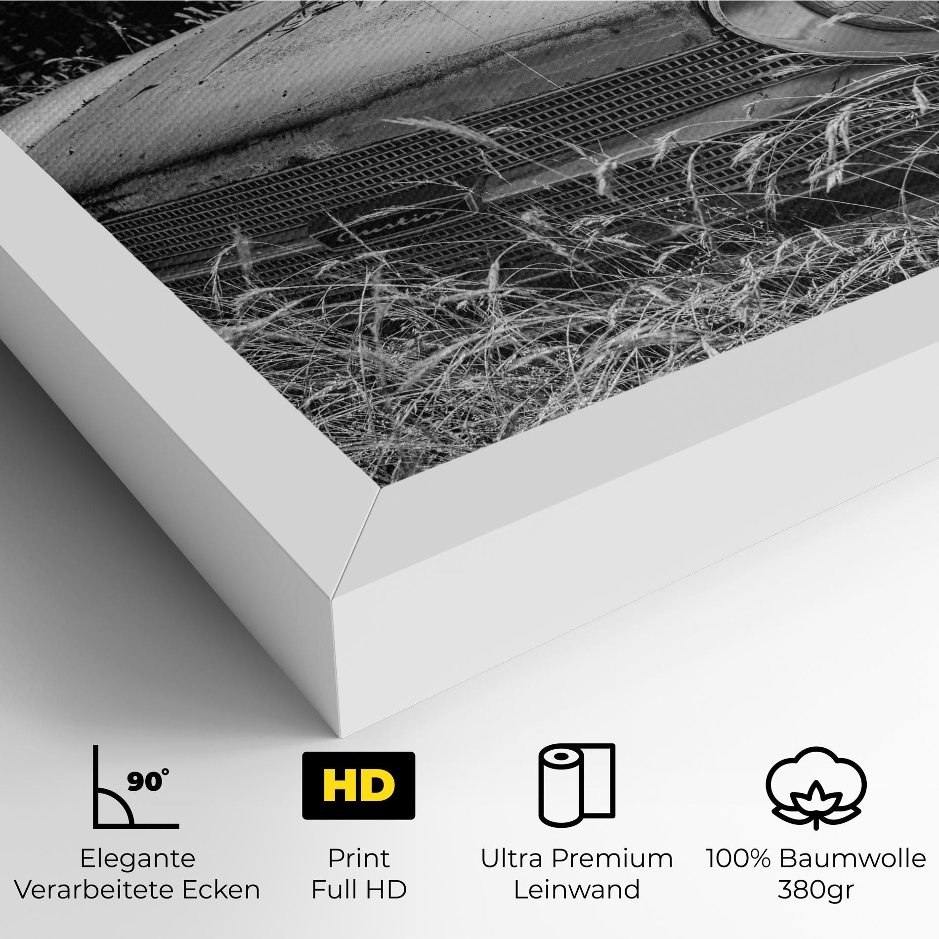 Old Field Car mockup 4