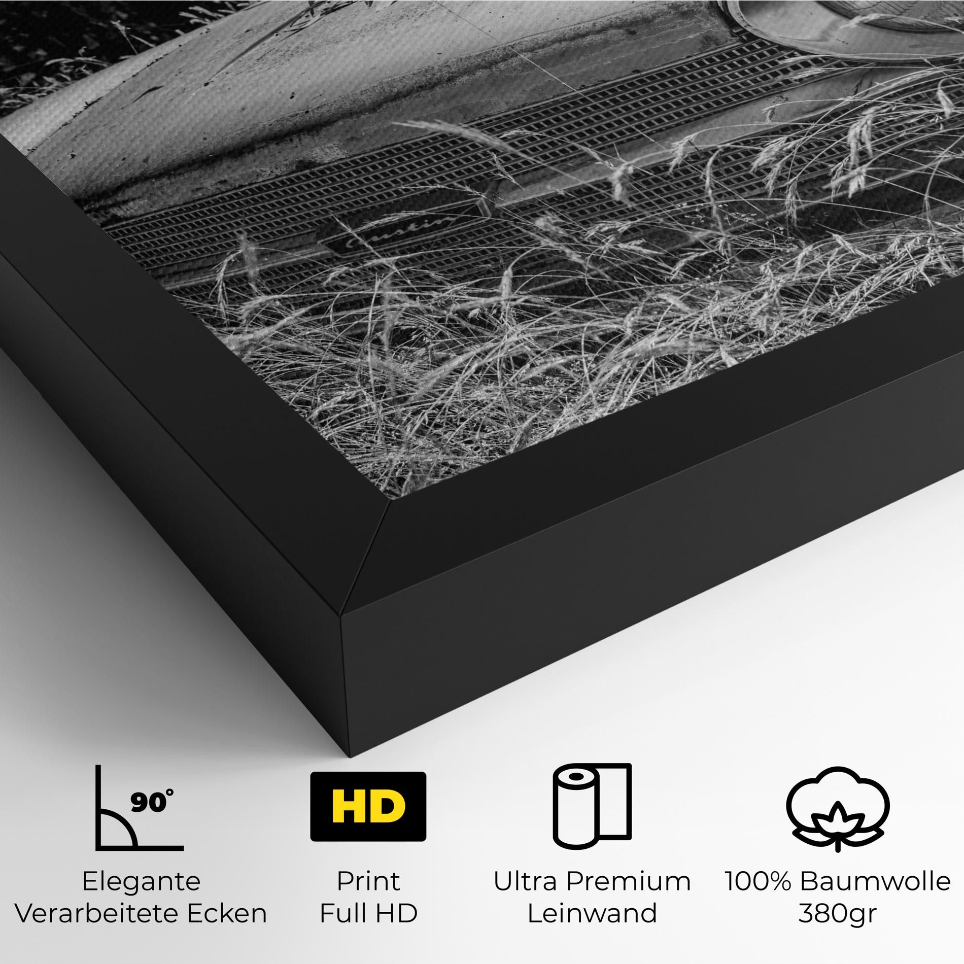 Old Field Car mockup 4