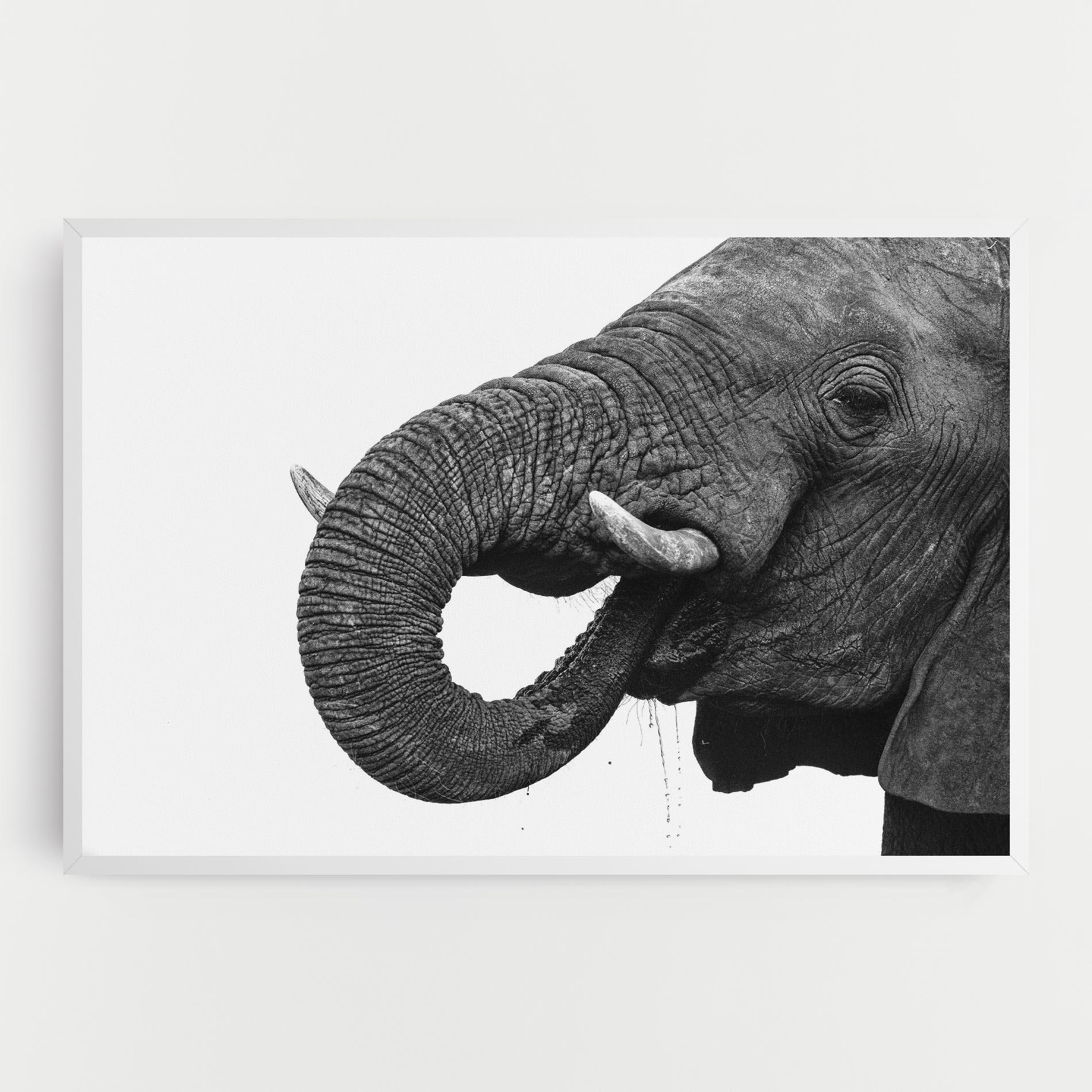 Leinwandbild Elephant Drinking mockup 0