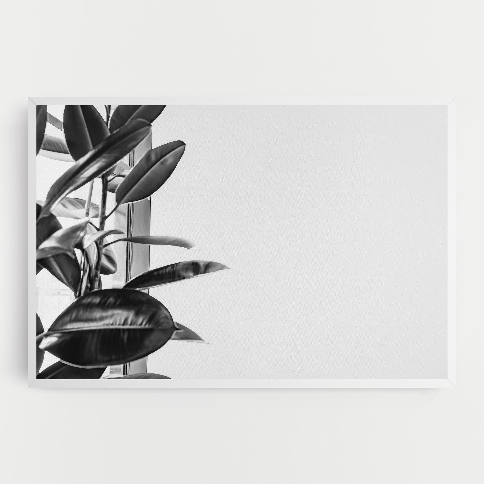 Leinwandbild Grey Plant mockup 0