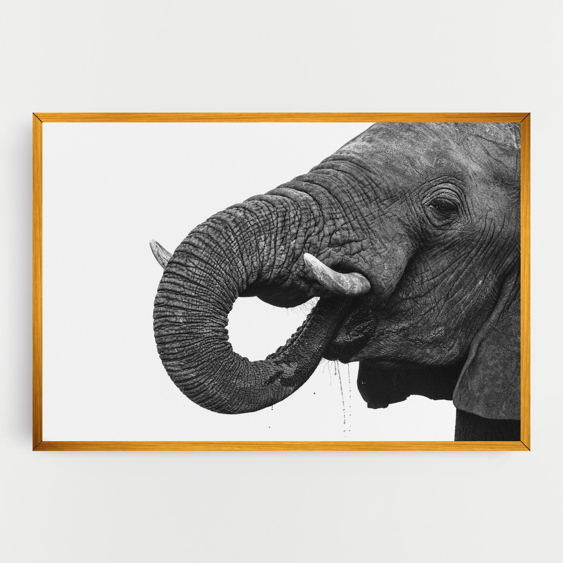 Leinwandbild Elephant Drinking mockup 0