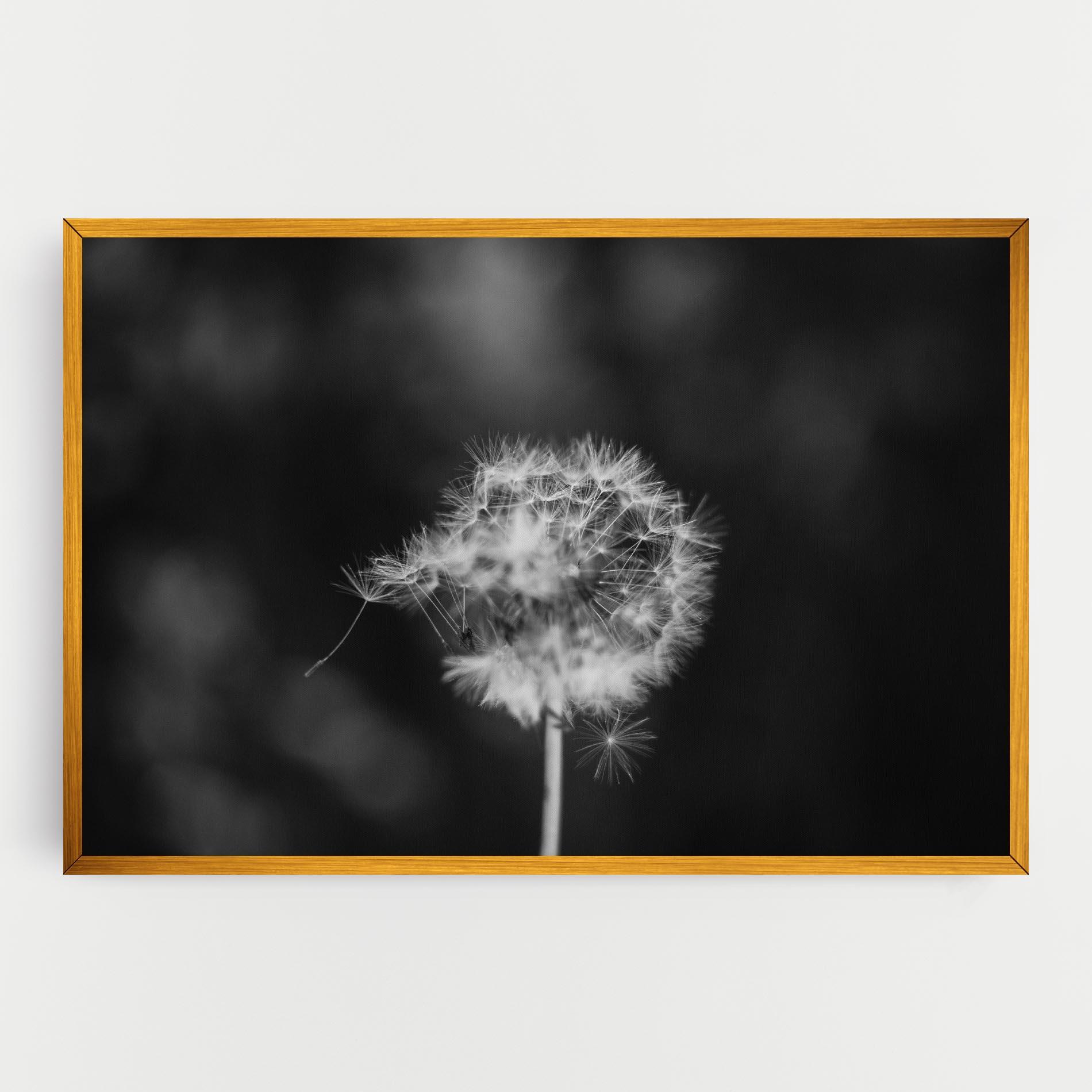 Leinwandbild Grey Dandelion mockup 0