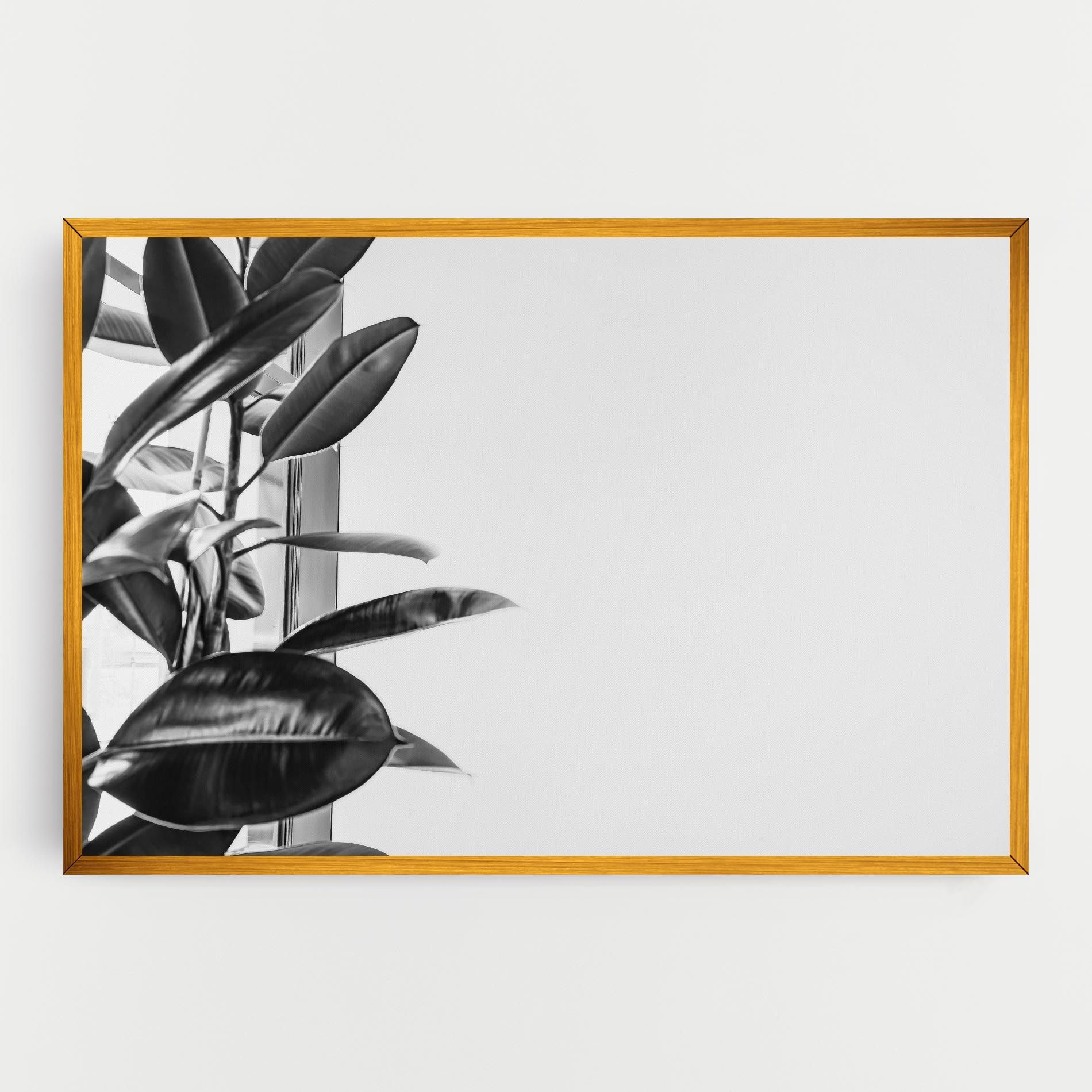 Grey Plant mockup 0