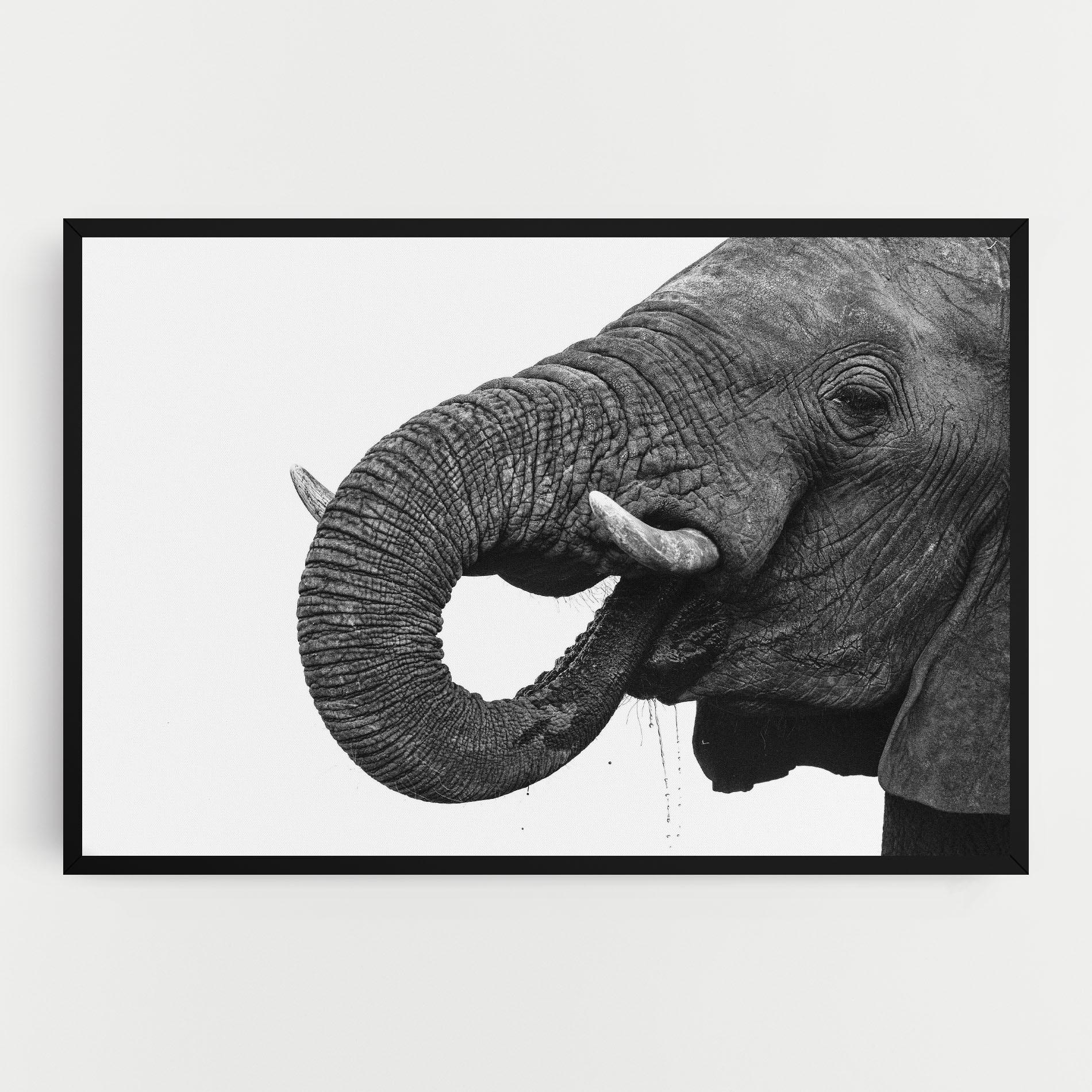 Leinwandbild Elephant Drinking mockup 0