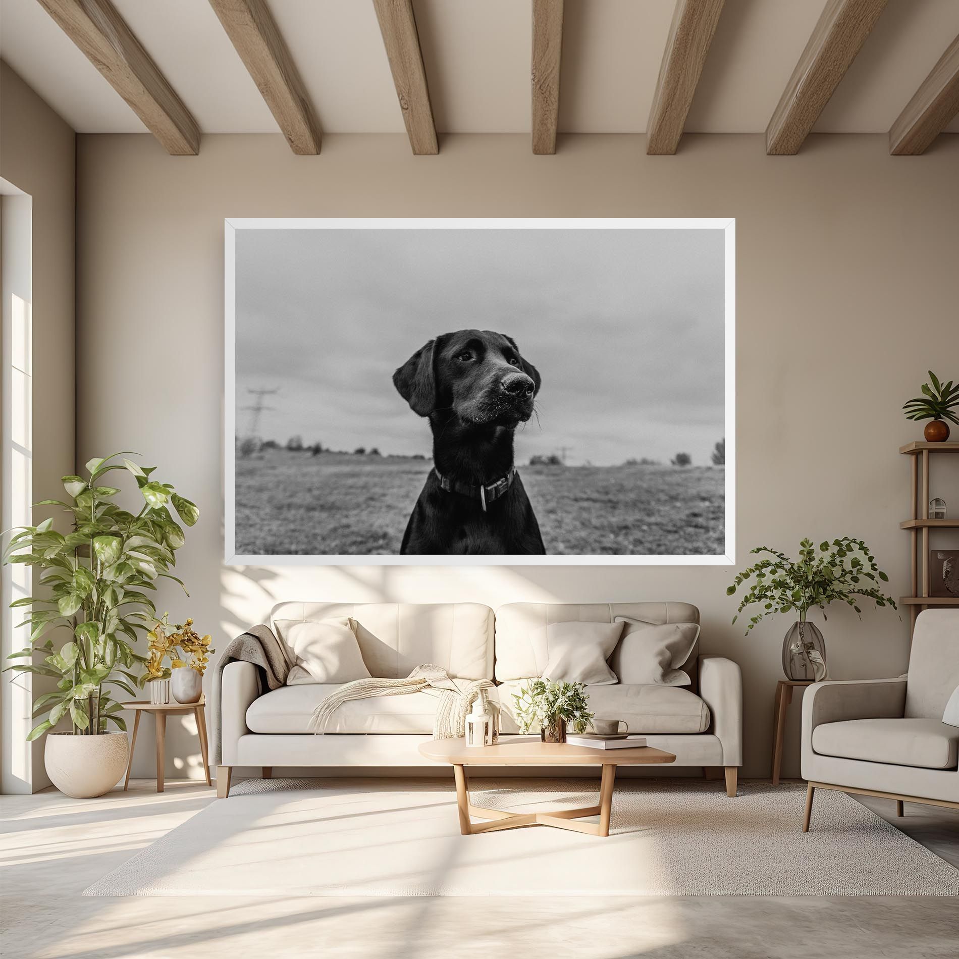 Black Dog mockup 6