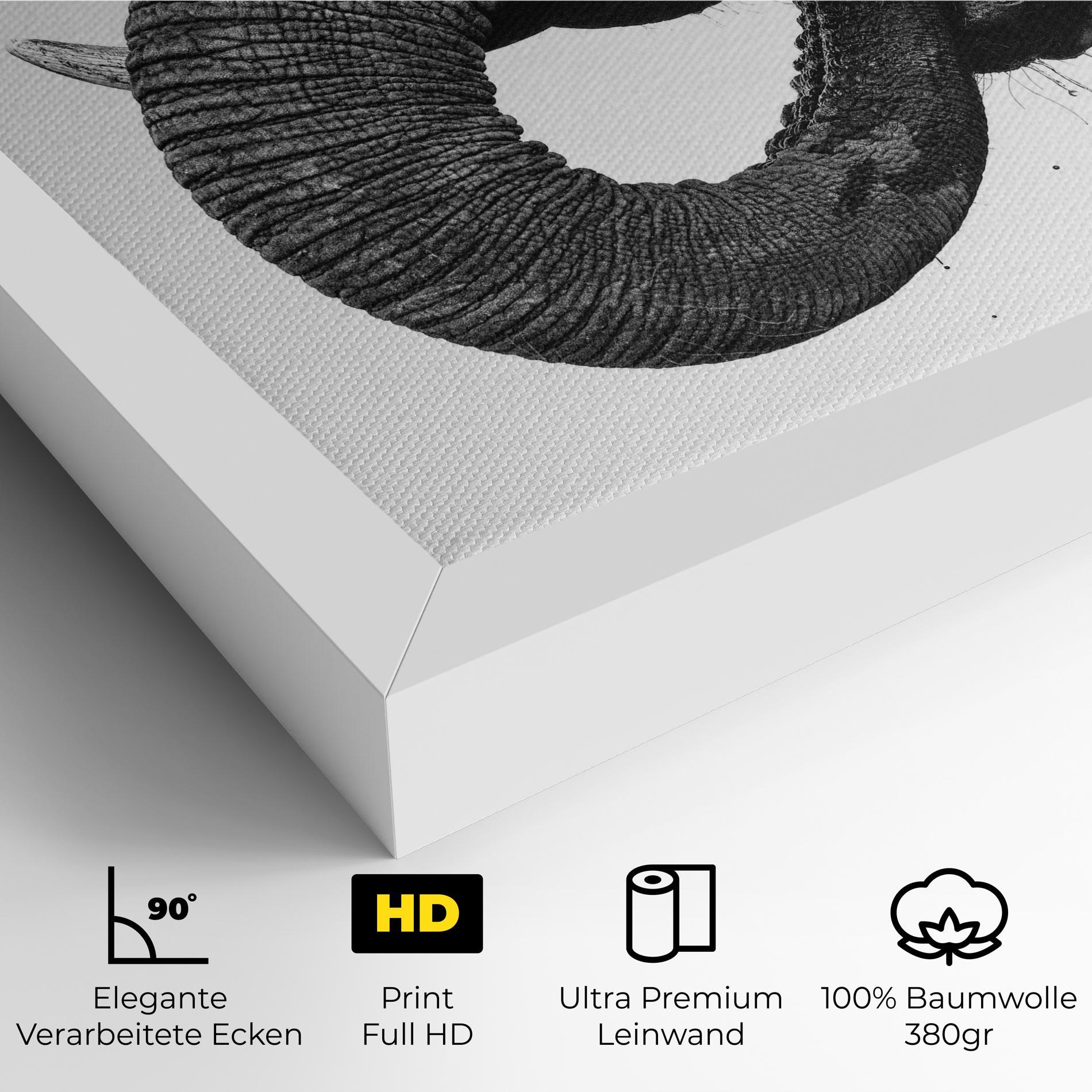 Leinwandbild Elephant Drinking mockup 4