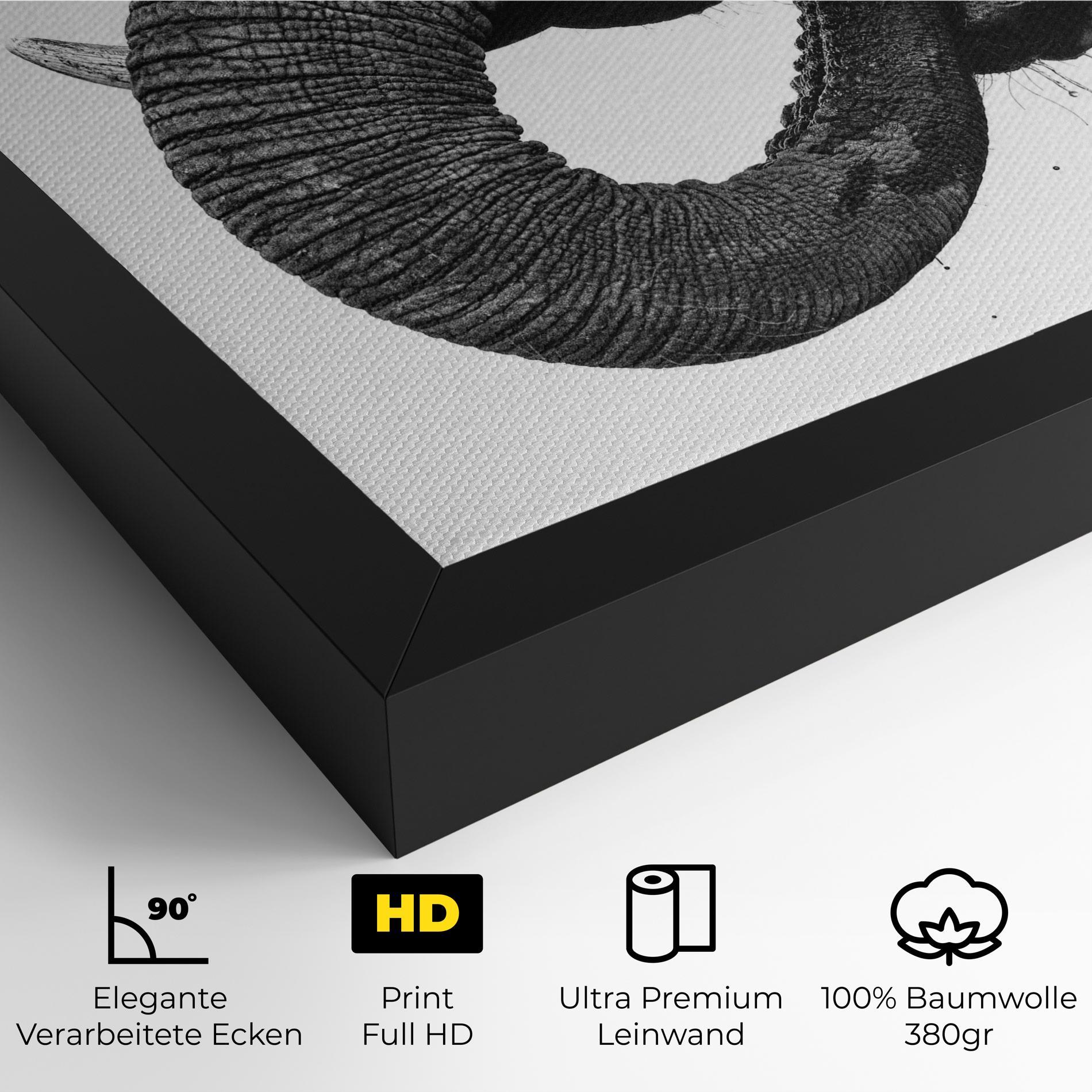 Leinwandbild Elephant Drinking mockup 4