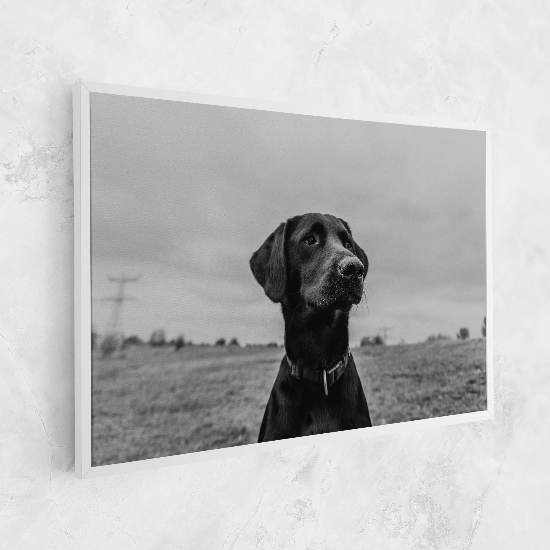 Black Dog mockup 1