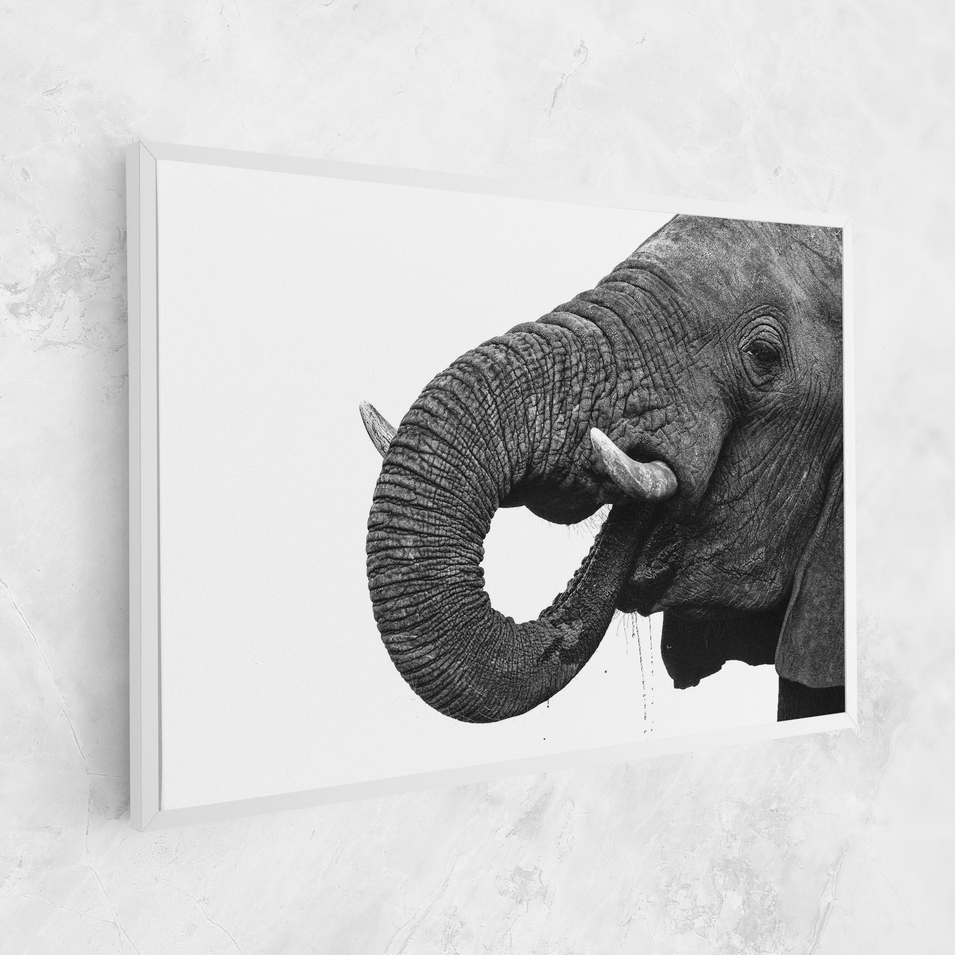 Leinwandbild Elephant Drinking mockup 1