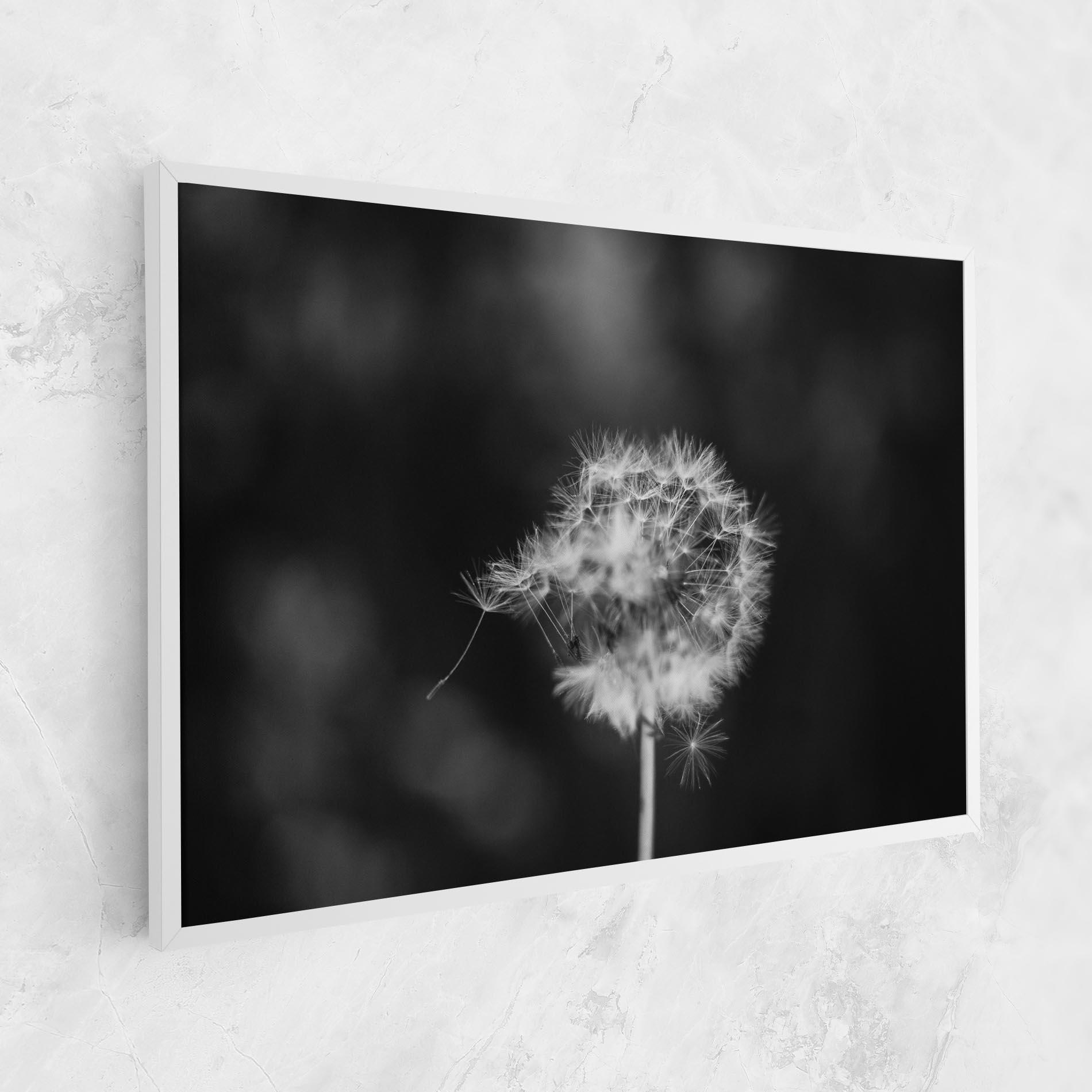 Leinwandbild Grey Dandelion mockup 1
