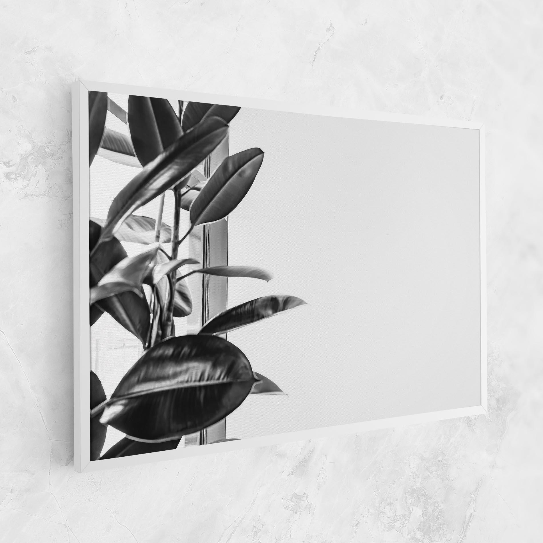 Leinwandbild Grey Plant mockup 1