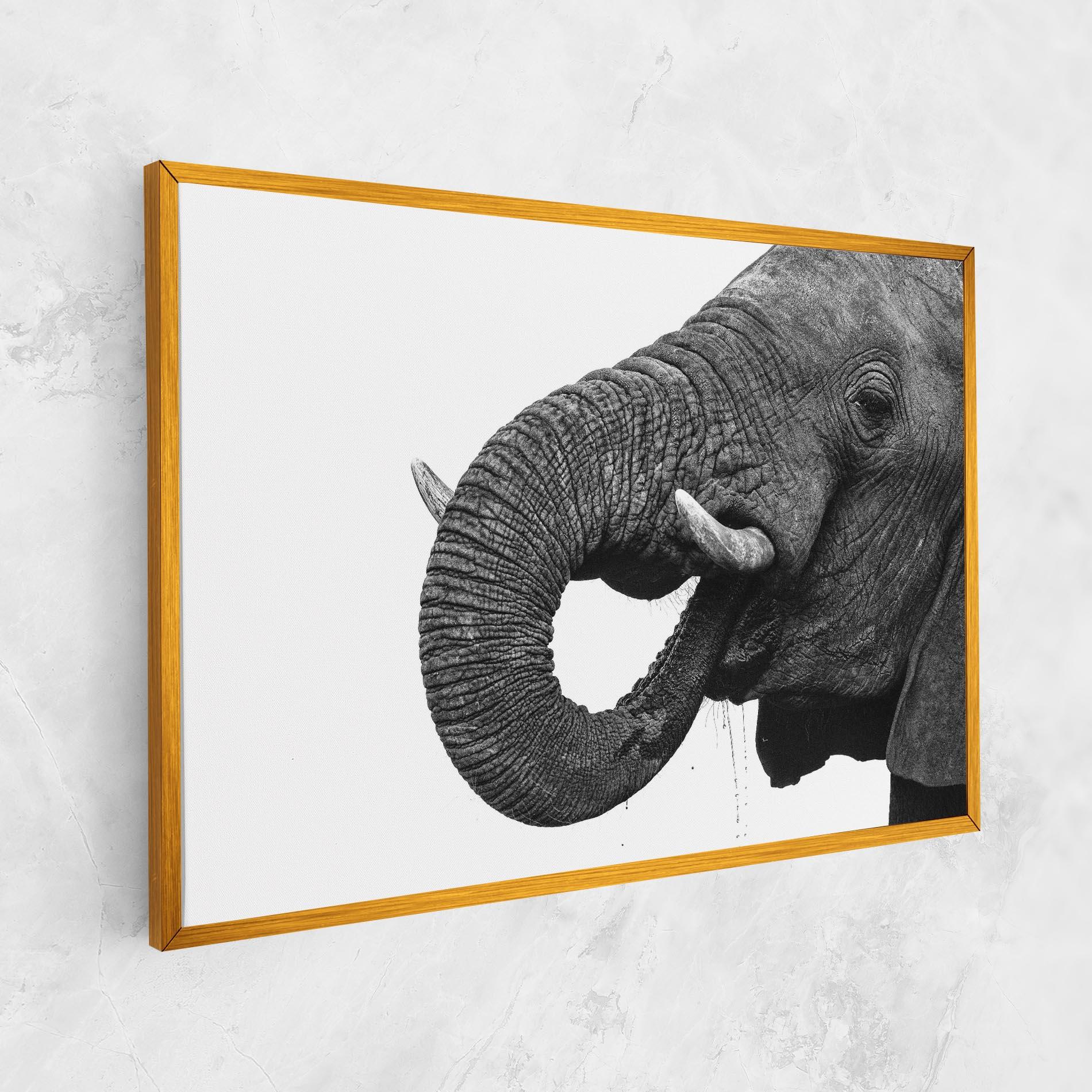 Leinwandbild Elephant Drinking mockup 1