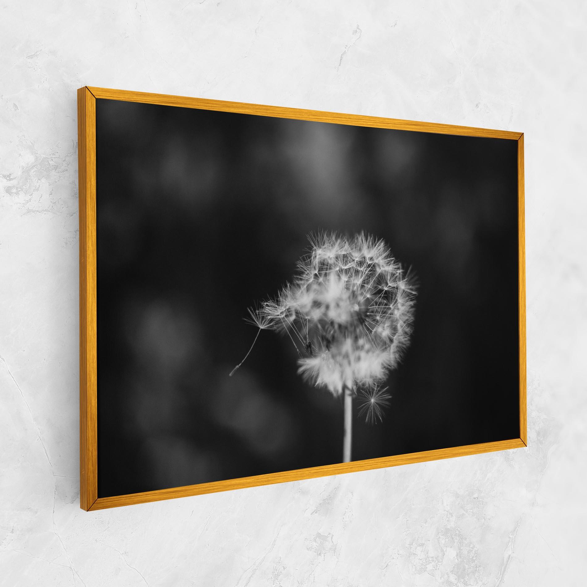 Leinwandbild Grey Dandelion mockup 1