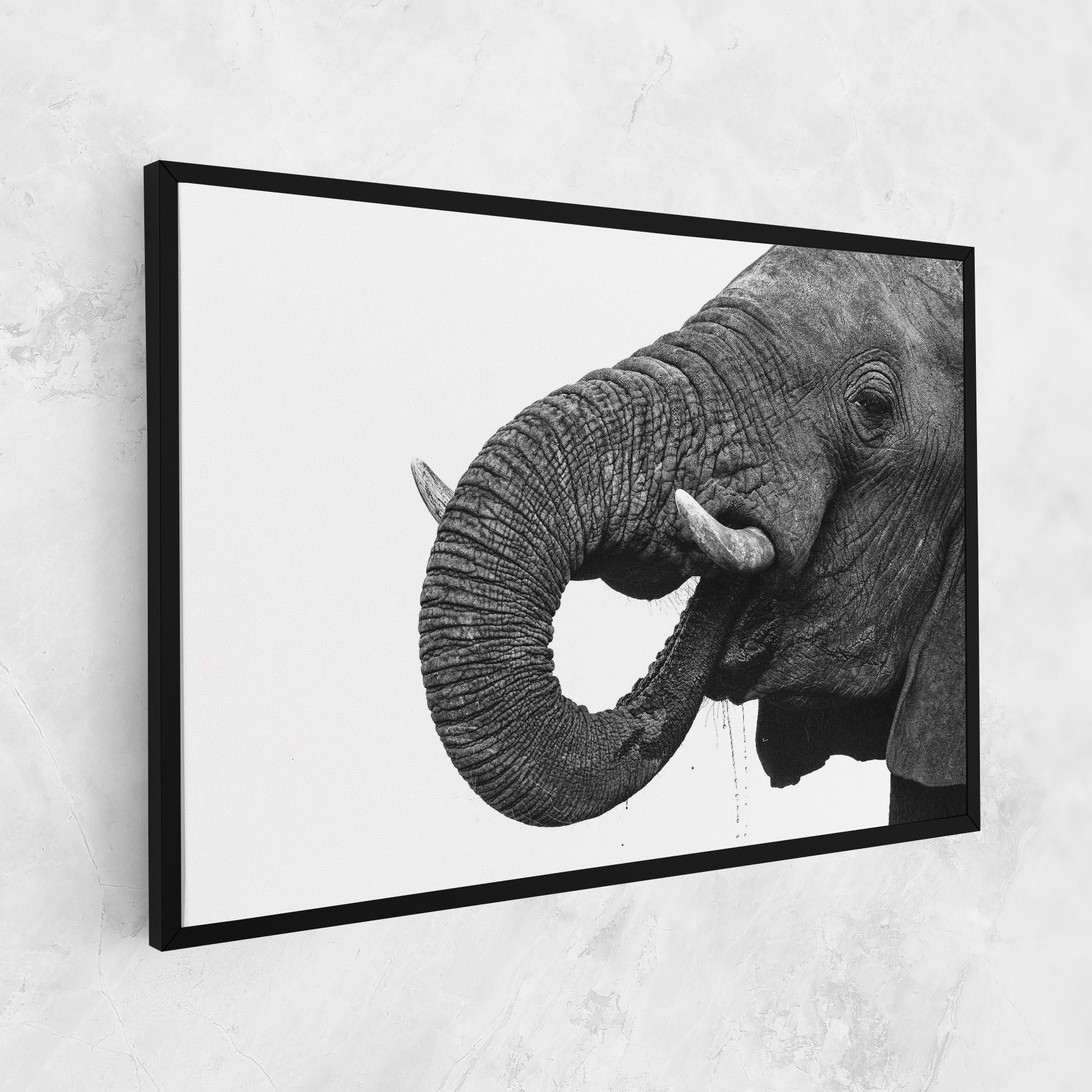 Leinwandbild Elephant Drinking mockup 1