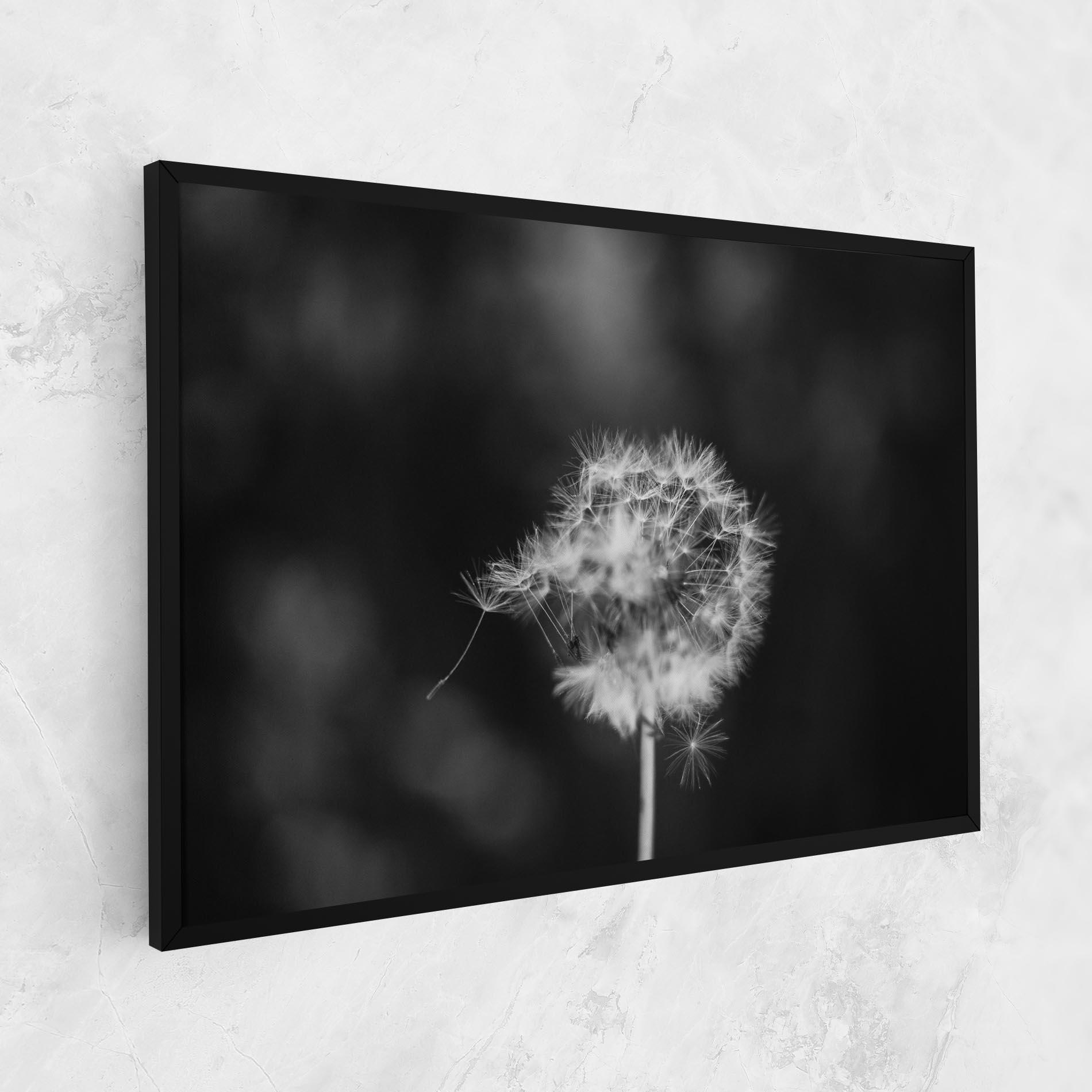 Leinwandbild Grey Dandelion mockup 1