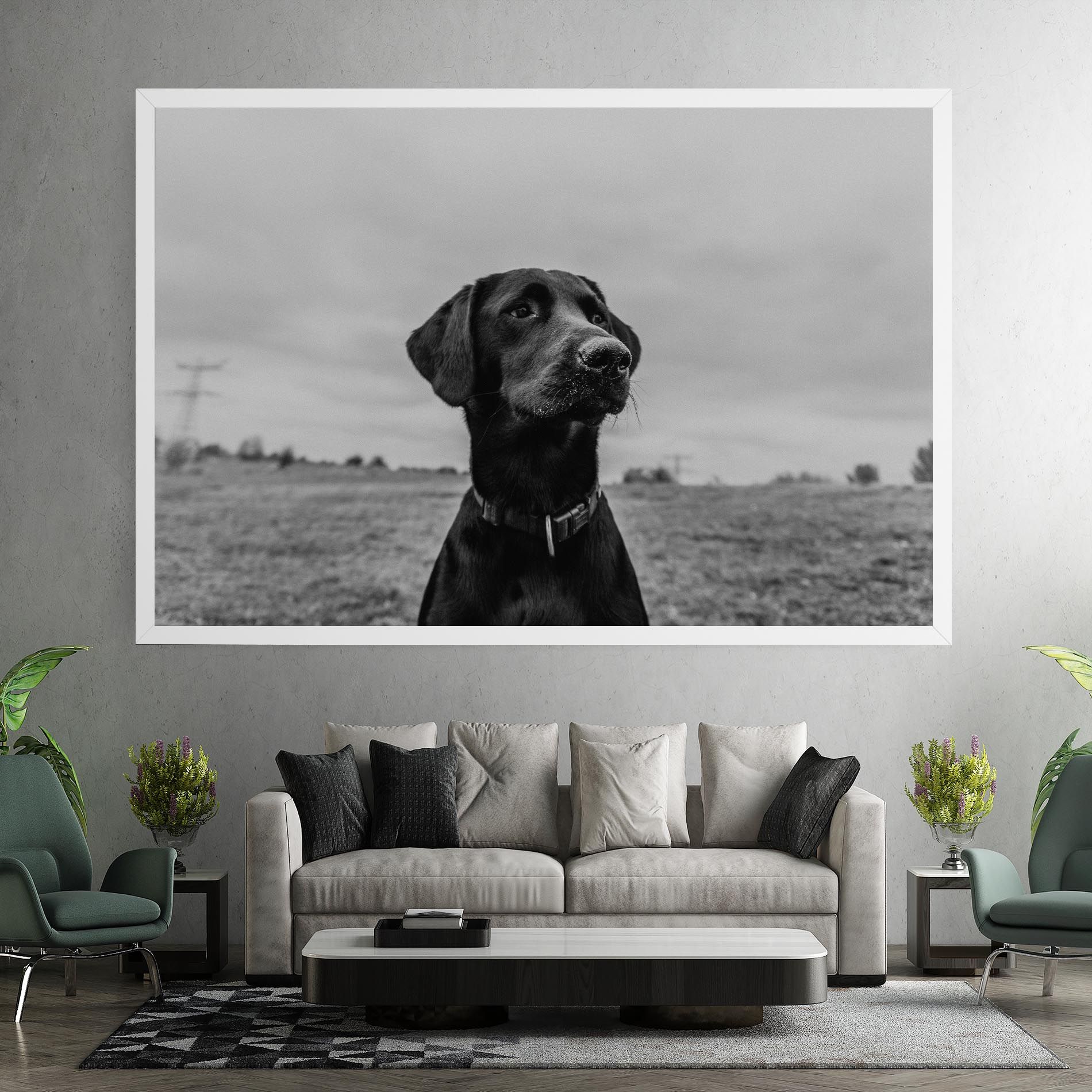 Black Dog mockup 7