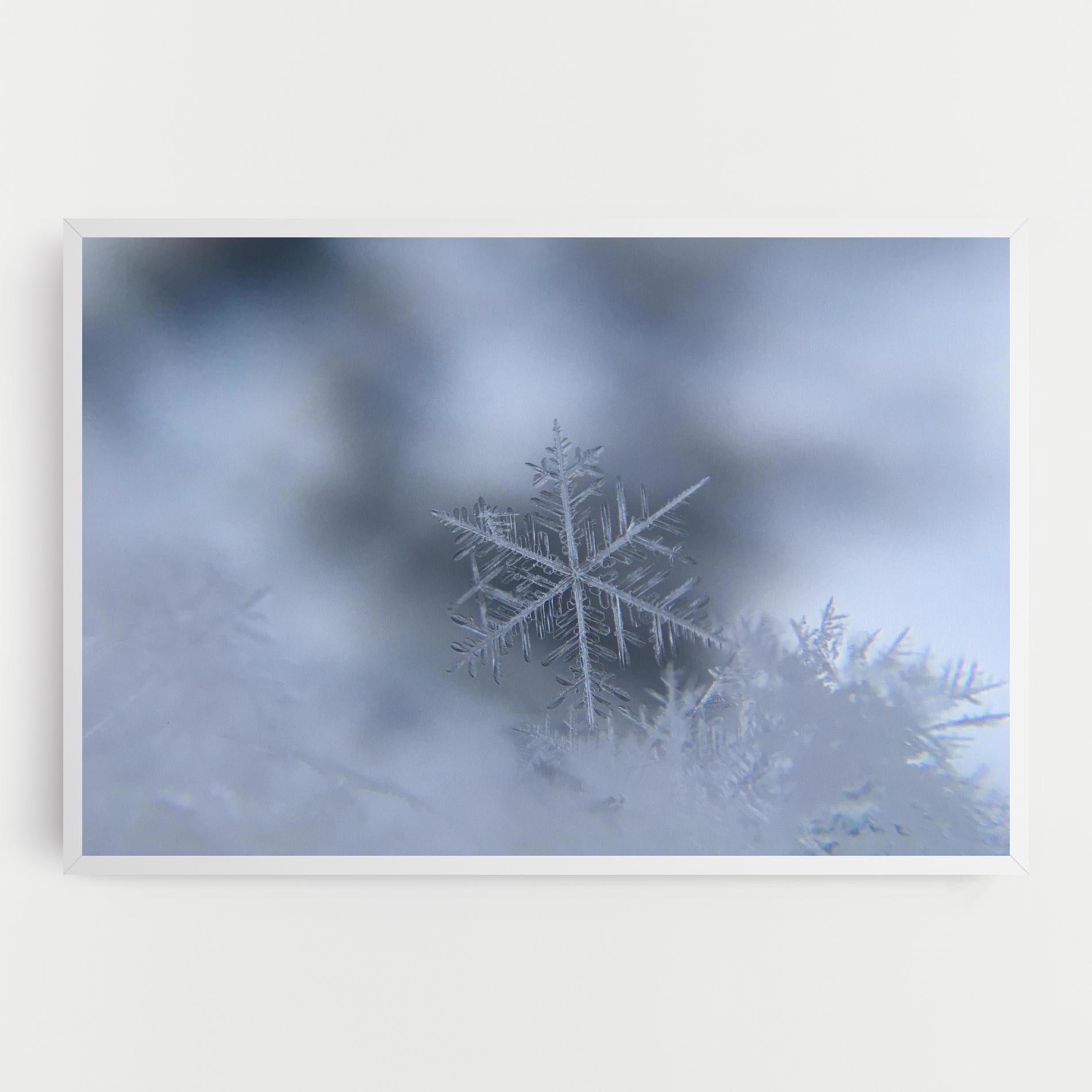Leinwandbild Pretty Snowflake mockup 0