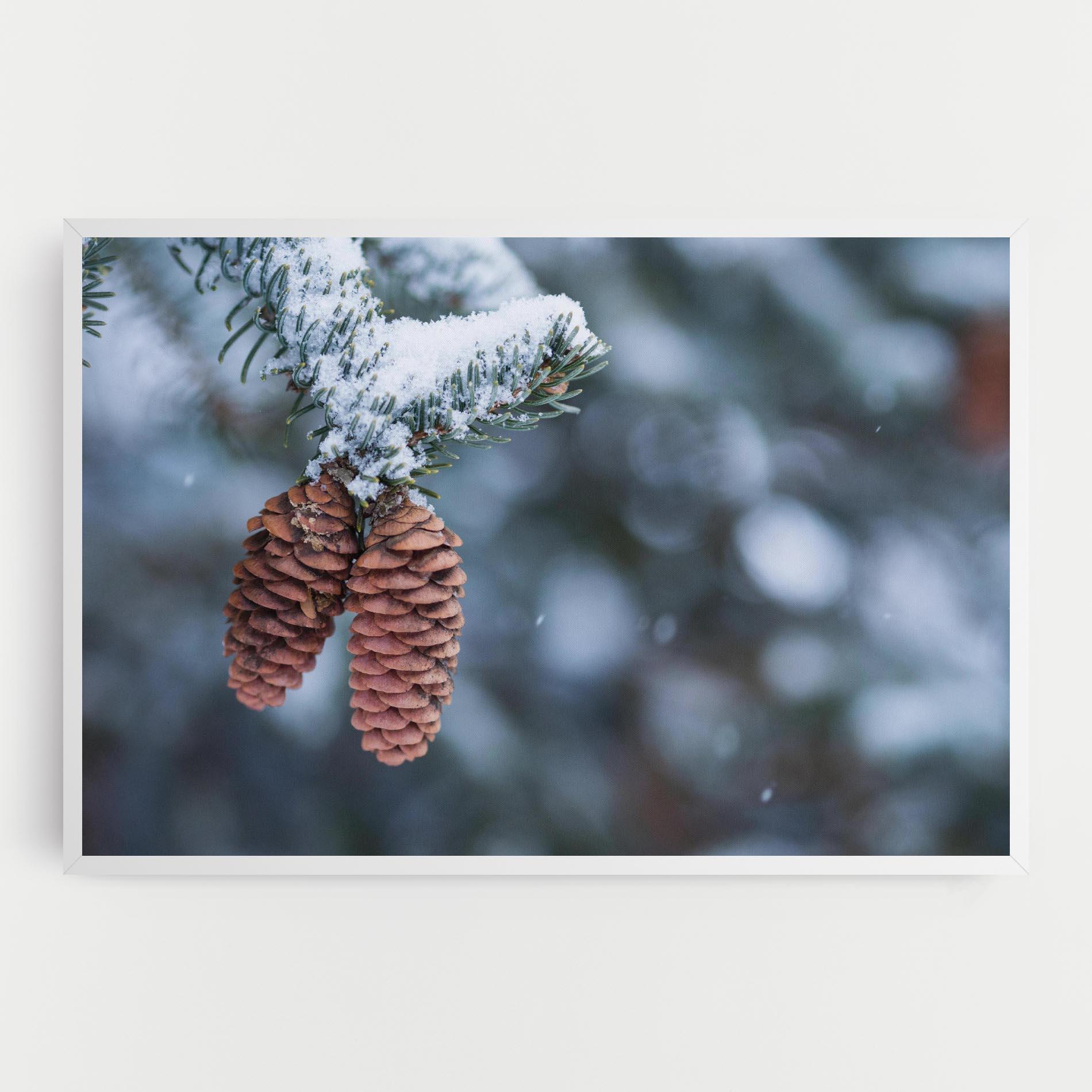 Leinwandbild Winter Cones mockup 0