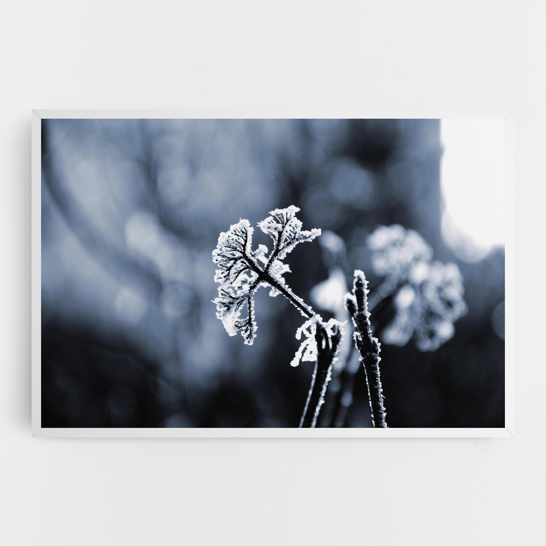 Leinwandbild Winter Plant mockup 0