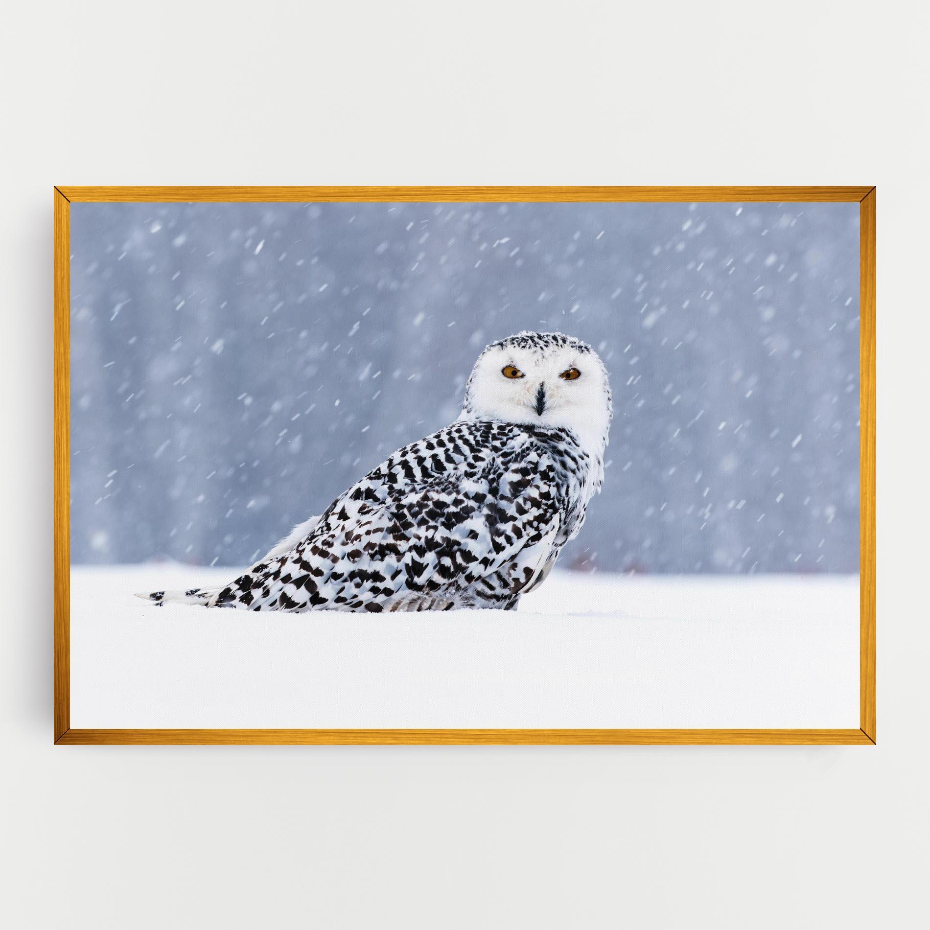 Leinwandbild Snow Owl mockup 0