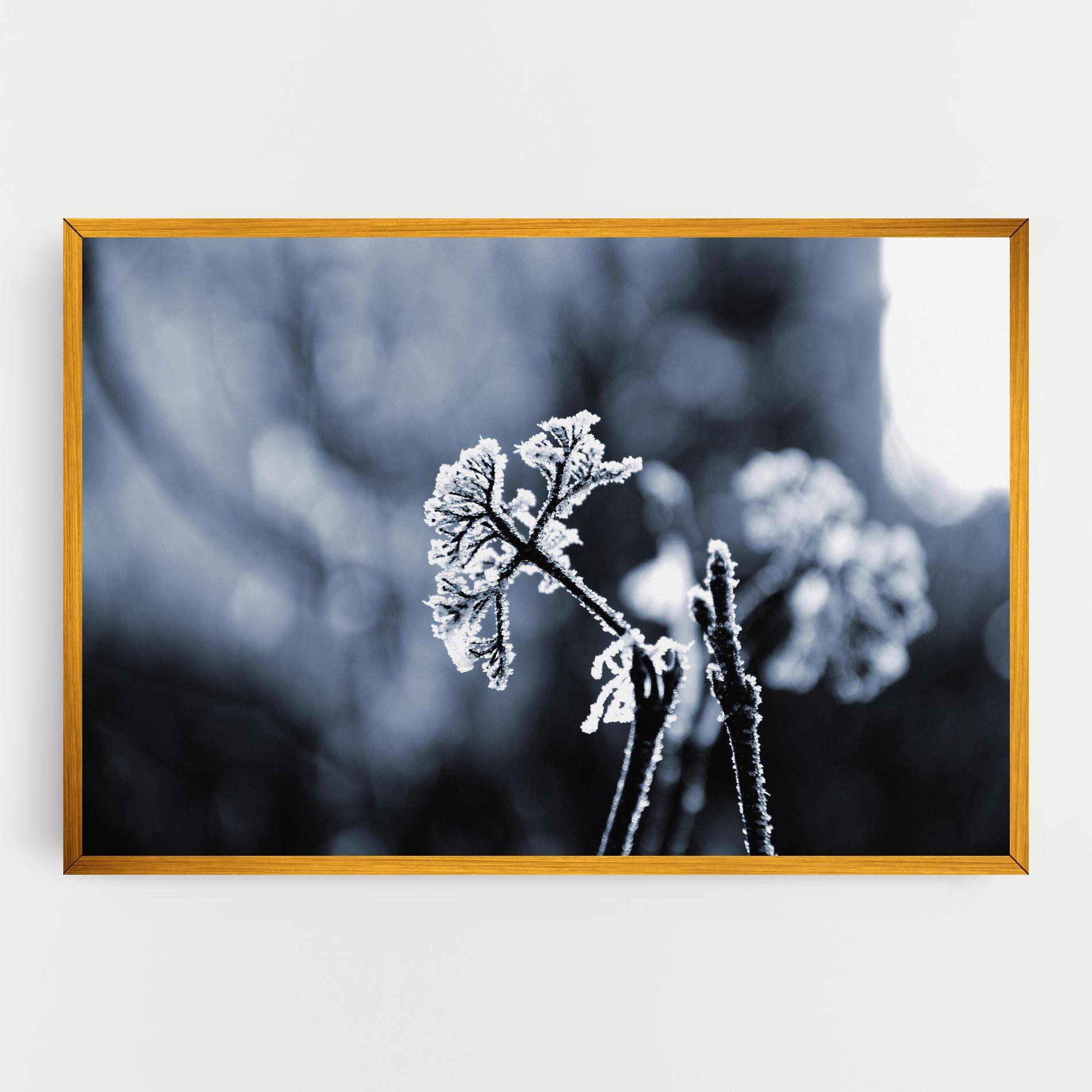 Leinwandbild Winter Plant mockup 0