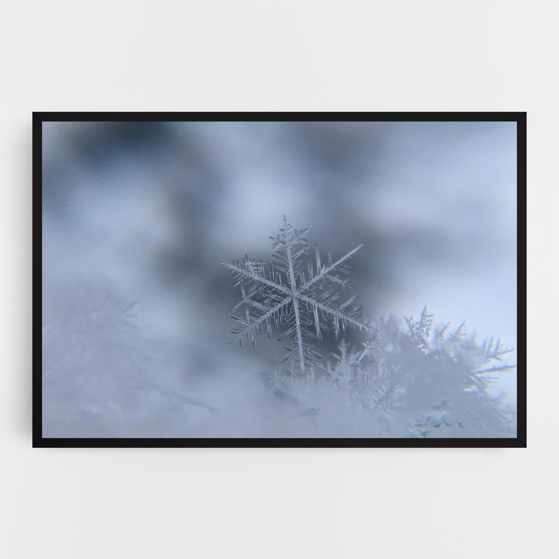 Leinwandbild Pretty Snowflake mockup 0