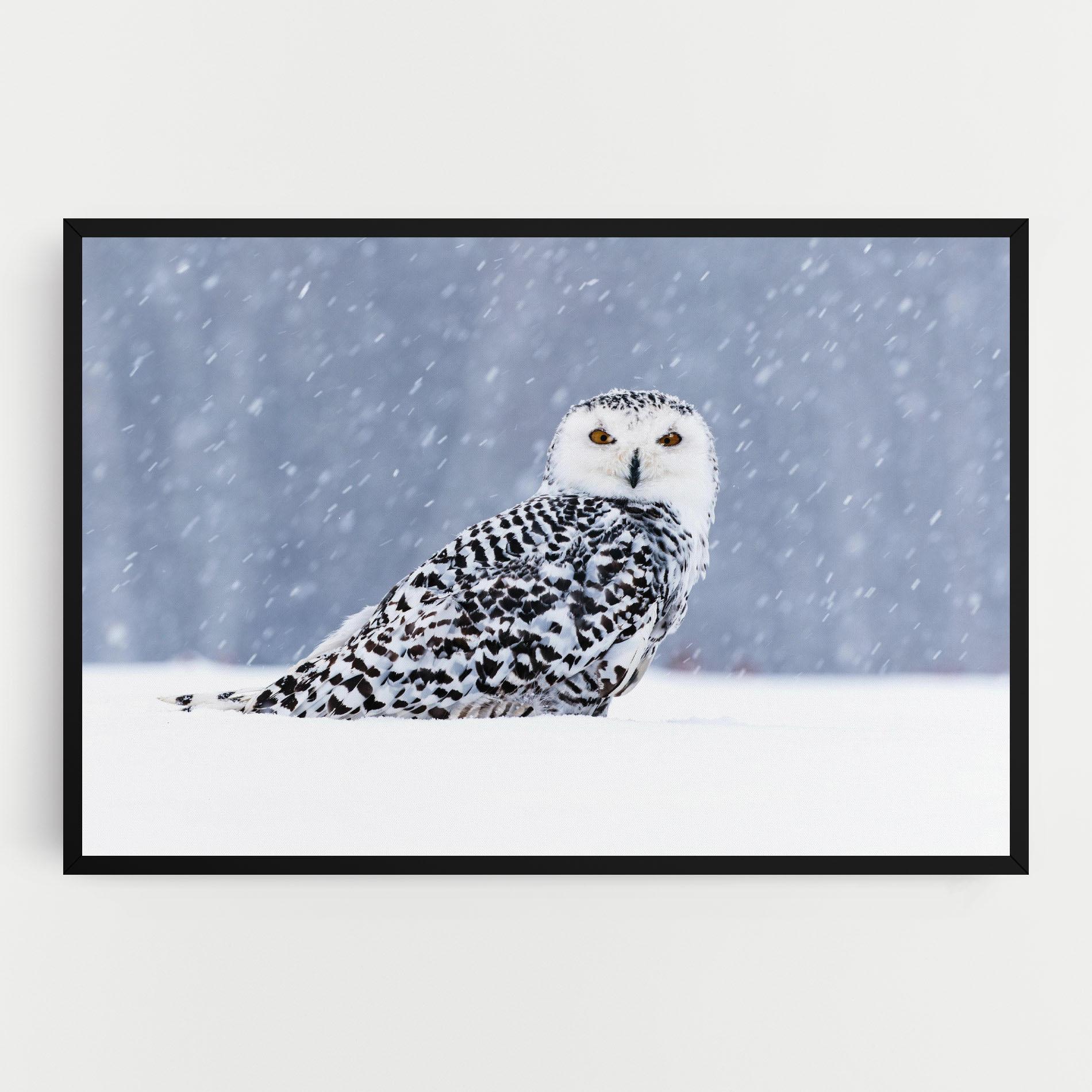 Leinwandbild Snow Owl mockup 0
