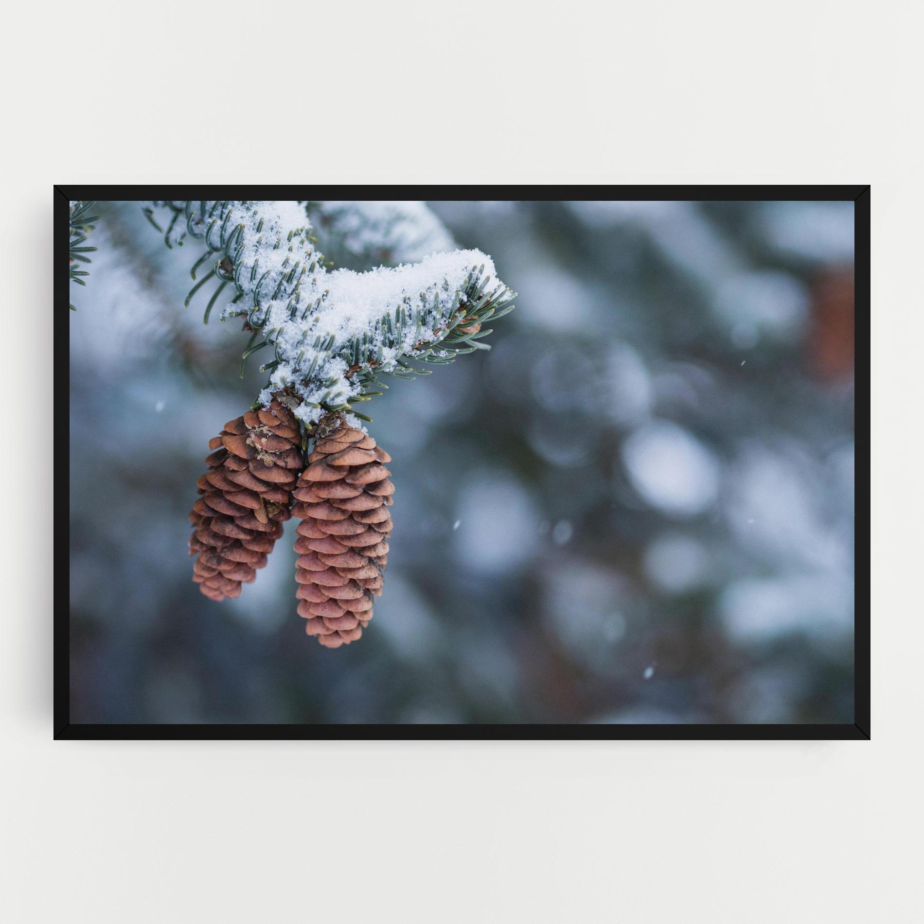 Leinwandbild Winter Cones mockup 0