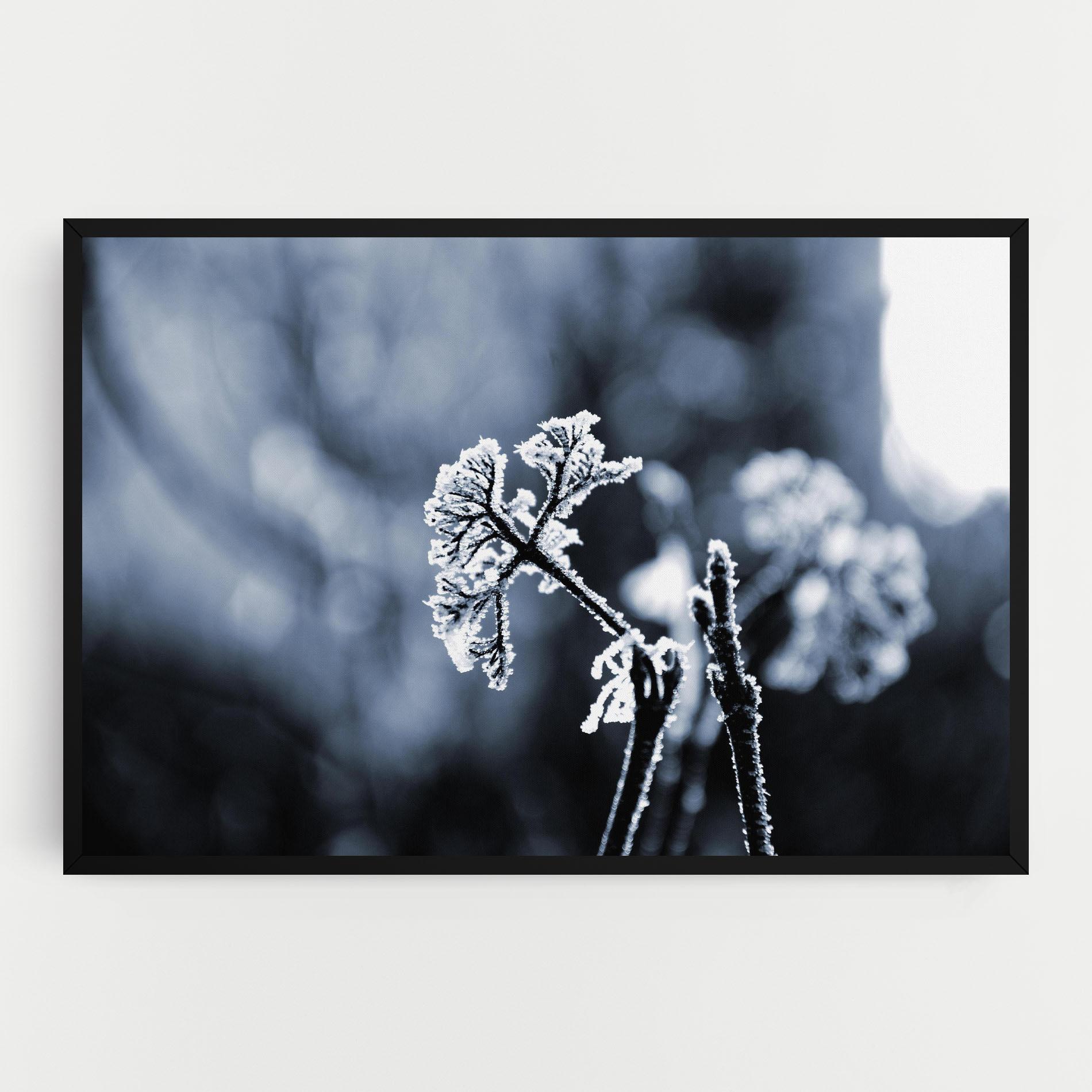 Leinwandbild Winter Plant mockup 0