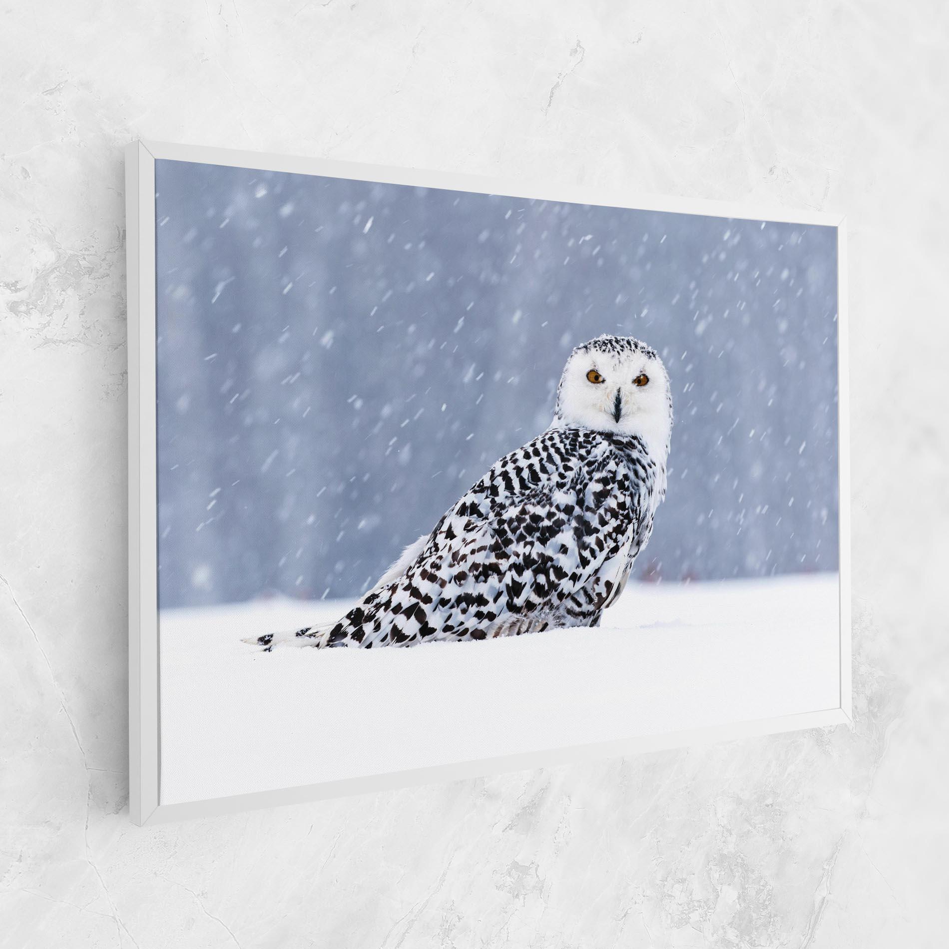 Leinwandbild Snow Owl mockup 1