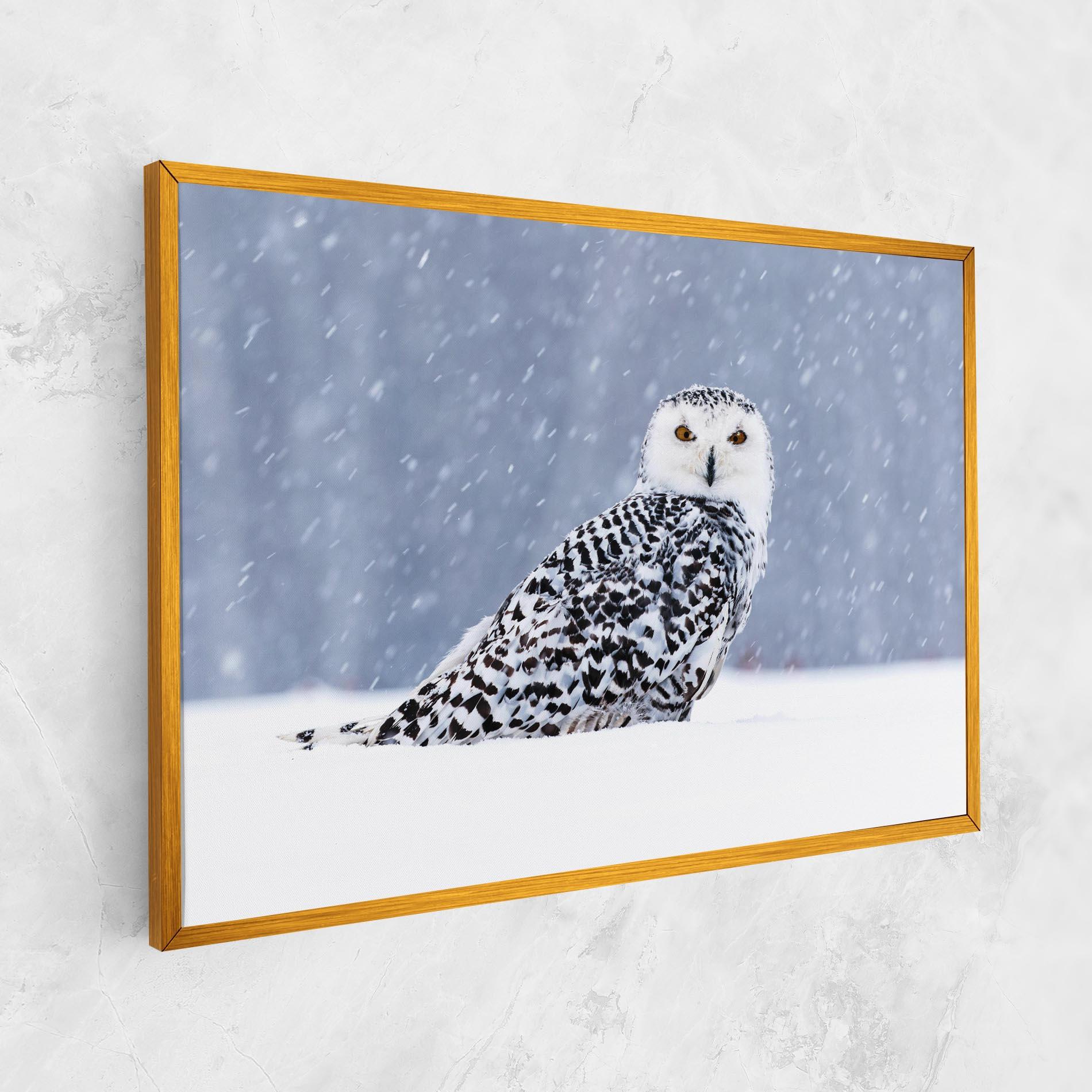 Leinwandbild Snow Owl mockup 1